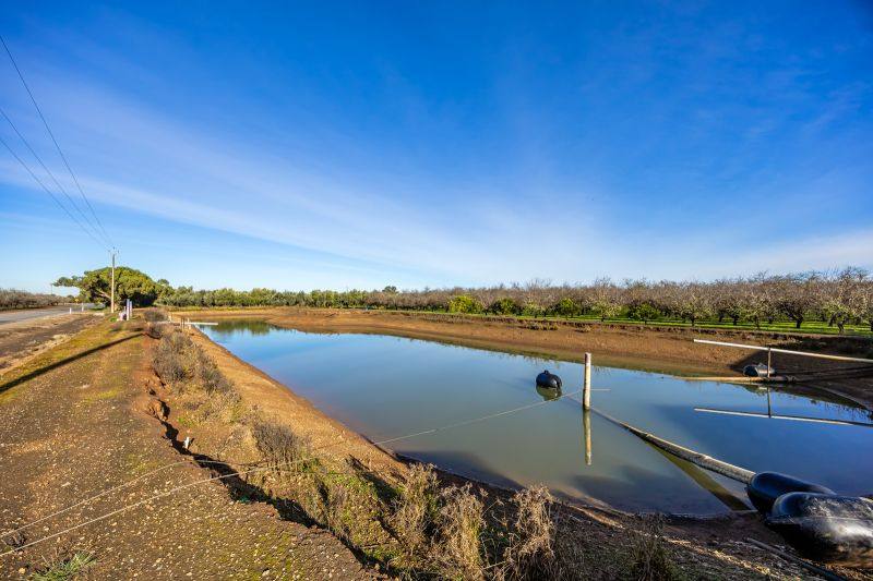 306 Taylors Road, Virginia For Sale by Farmbuy.com - image 8