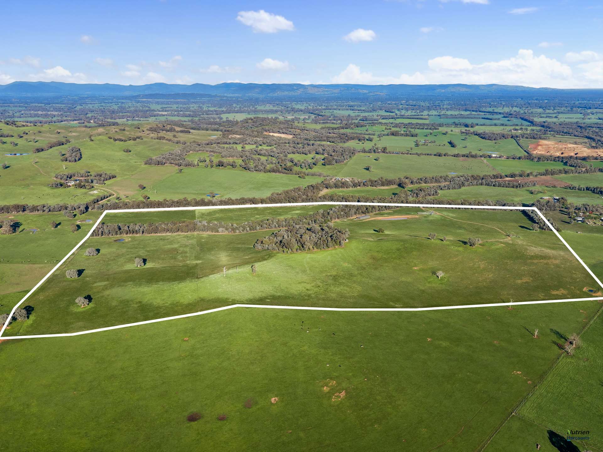 CA 9 Winton-Lurg Rd, Lurg For Sale by Farmbuy.com - image 21
