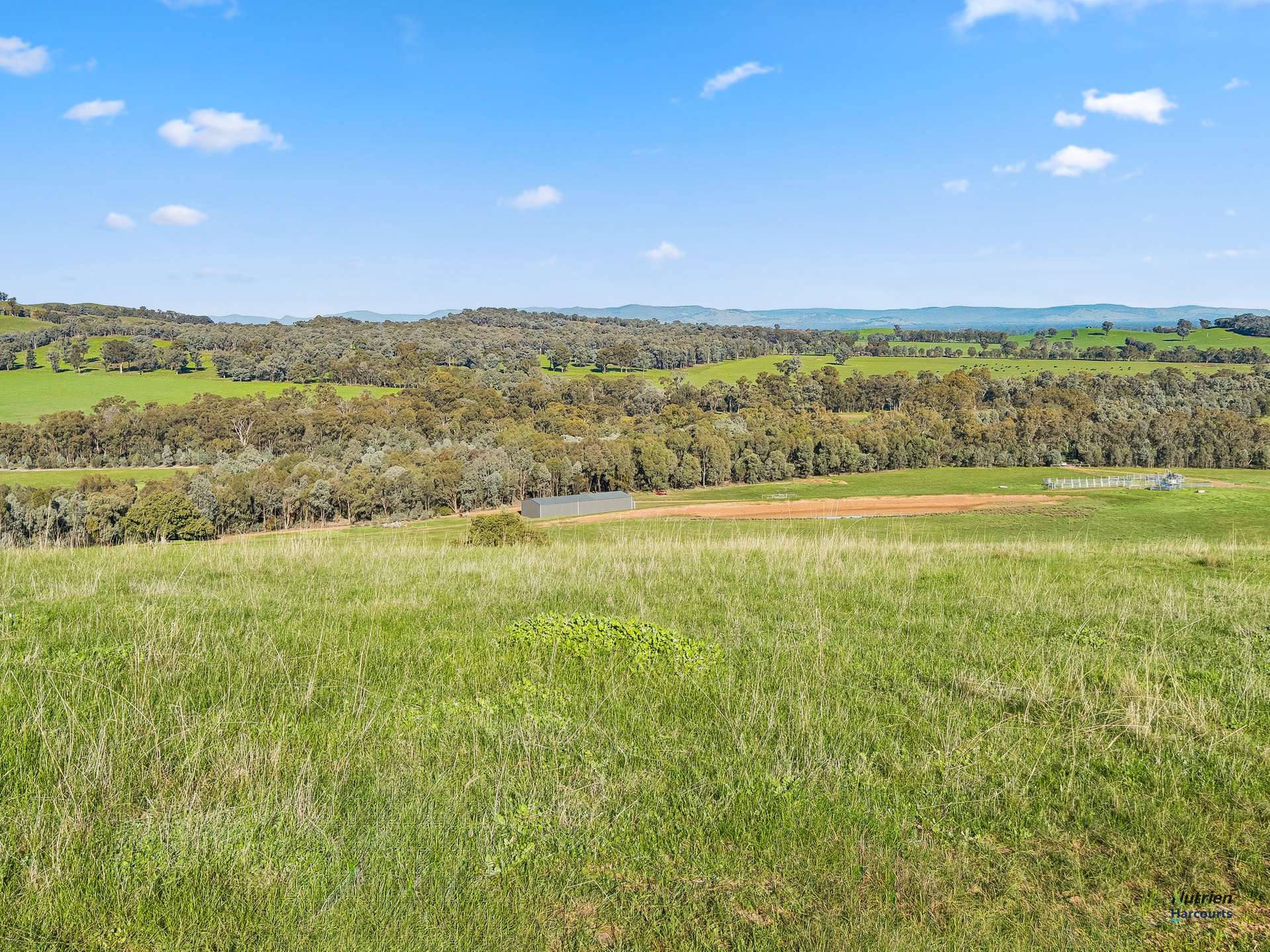 CA 9 Winton-Lurg Rd, Lurg For Sale by Farmbuy.com - image 10