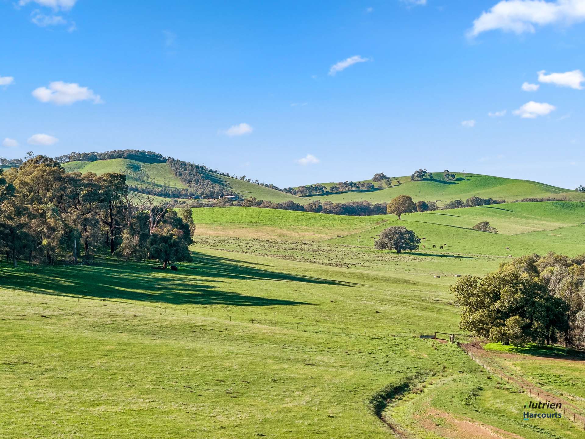 CA 9 Winton-Lurg Rd, Lurg For Sale by Farmbuy.com - image 14