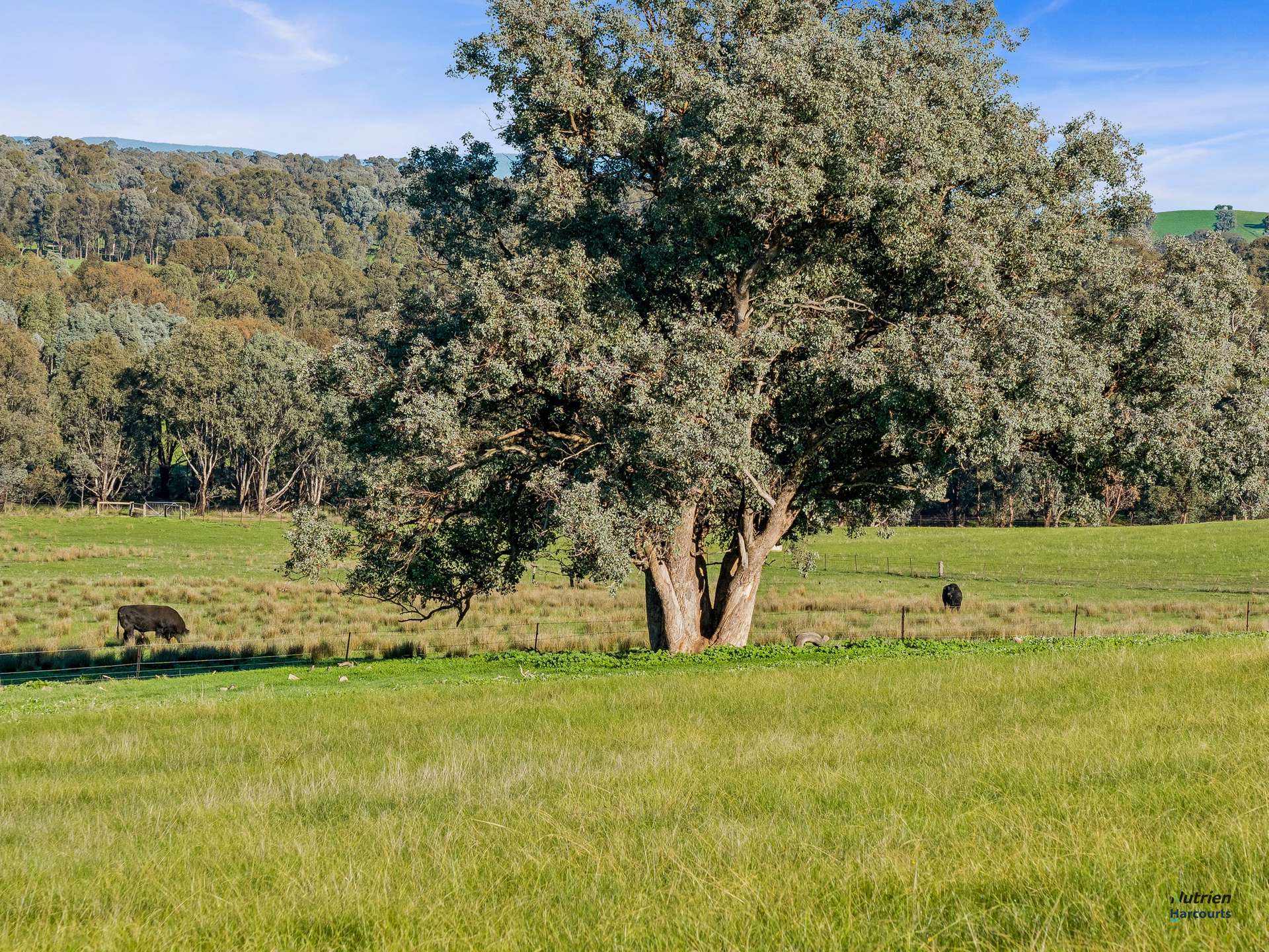 CA 9 Winton-Lurg Rd, Lurg For Sale by Farmbuy.com - image 16