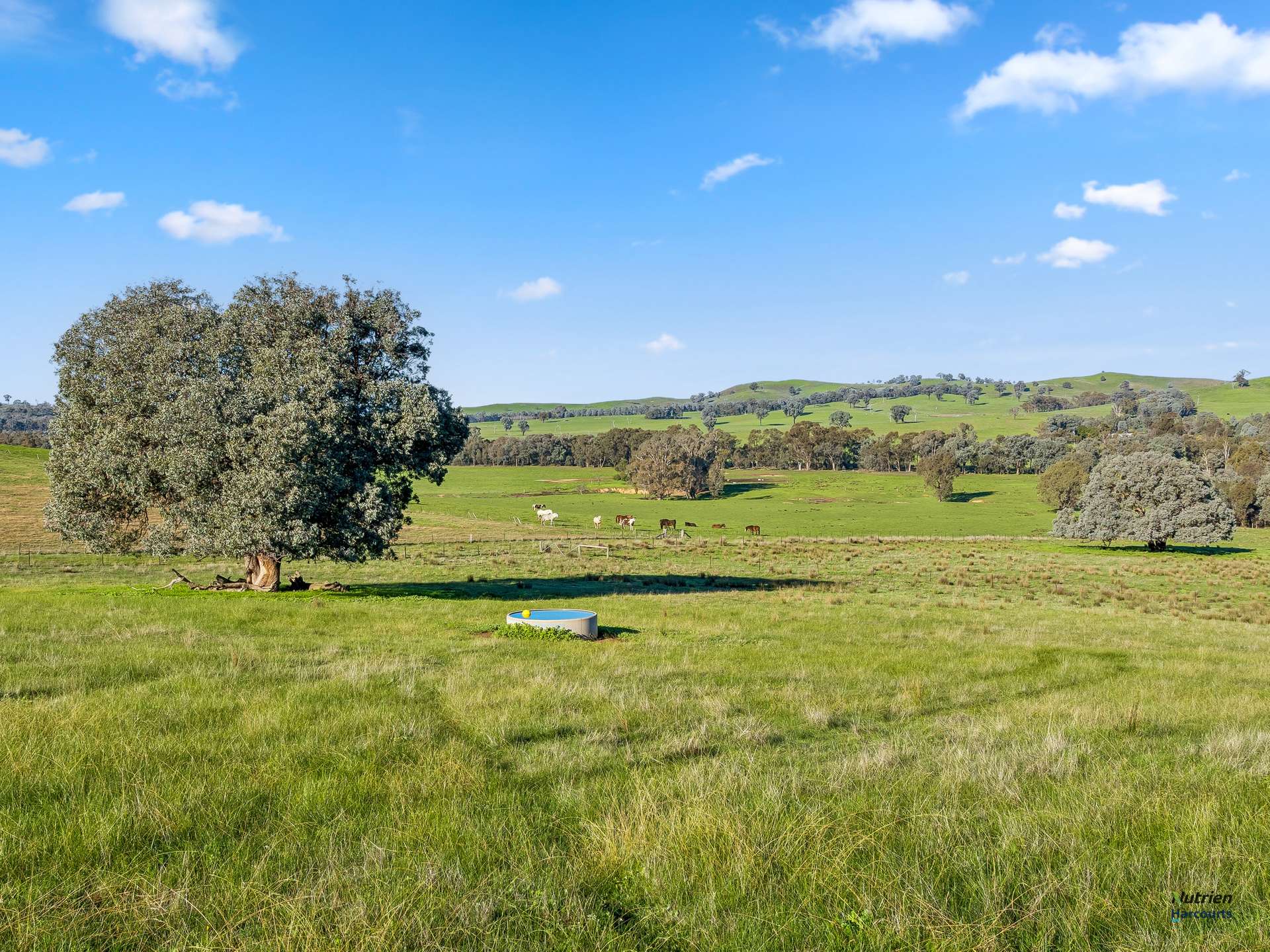 CA 9 Winton-Lurg Rd, Lurg For Sale by Farmbuy.com - image 2