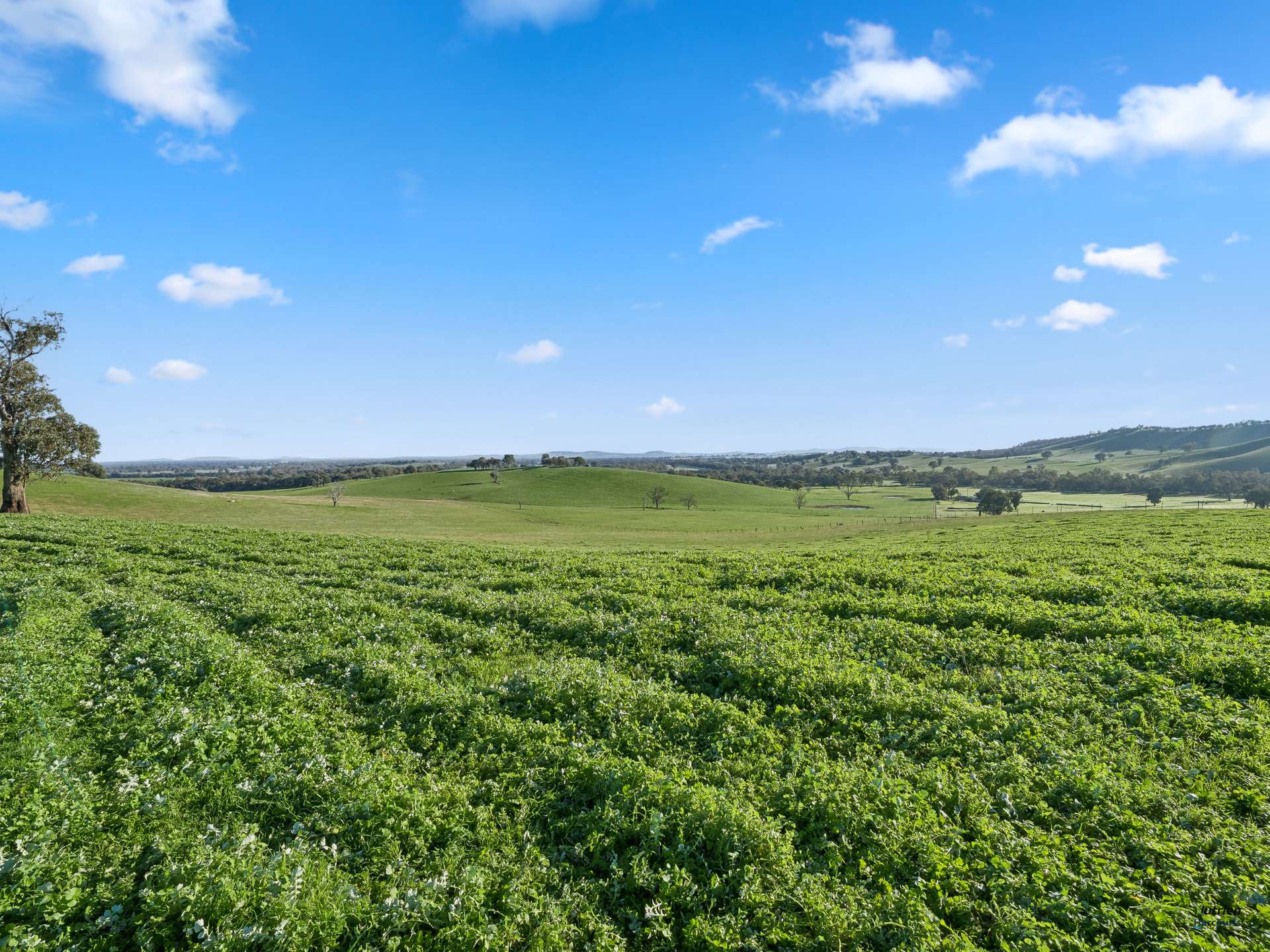 CA 9 Winton-Lurg Rd, Lurg For Sale by Farmbuy.com - image 12