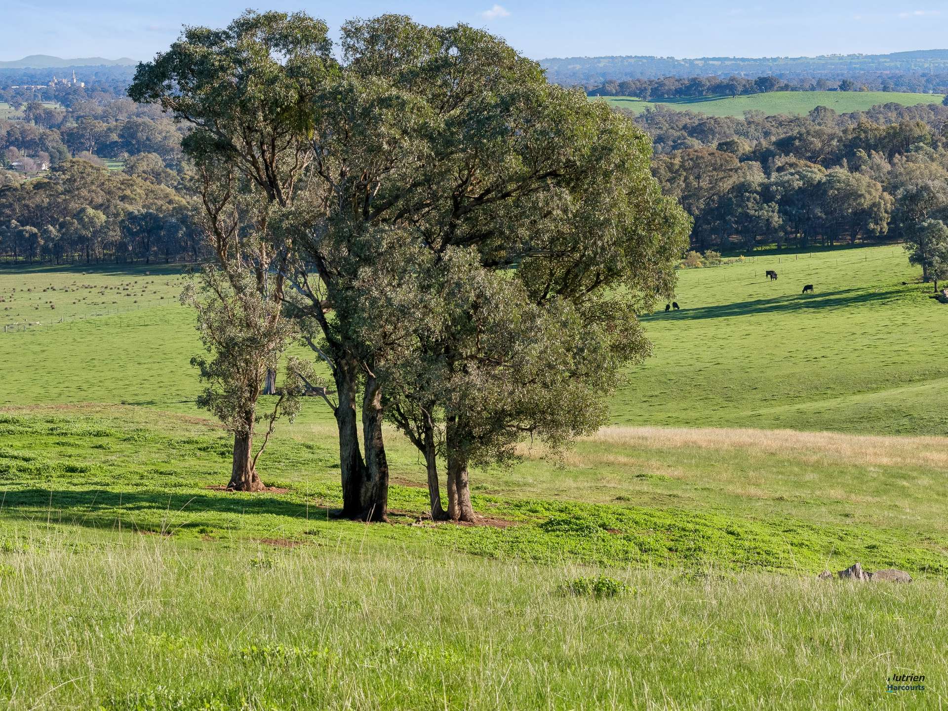 CA 9 Winton-Lurg Rd, Lurg For Sale by Farmbuy.com - image 18