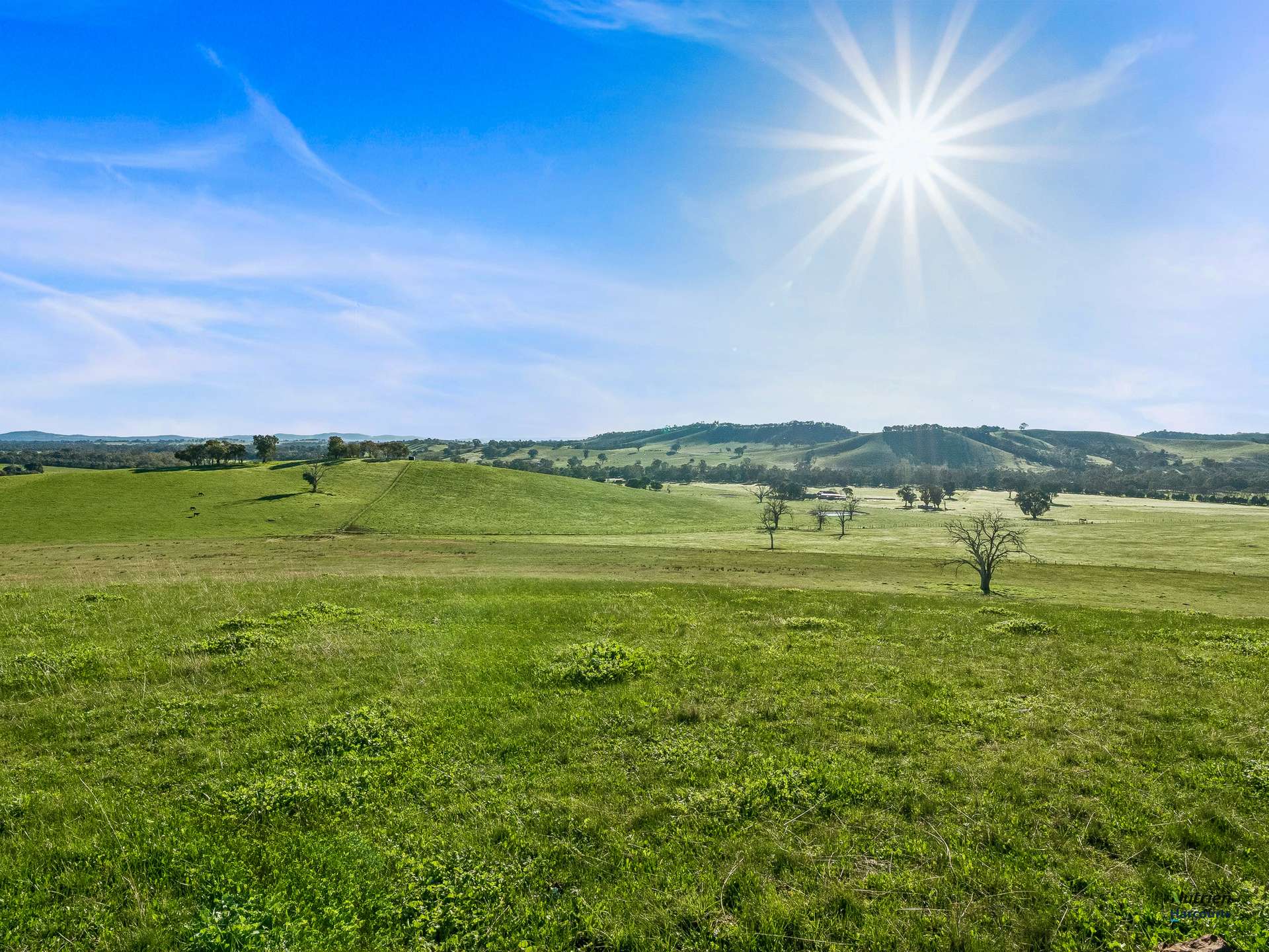CA 9 Winton-Lurg Rd, Lurg For Sale by Farmbuy.com - image 13