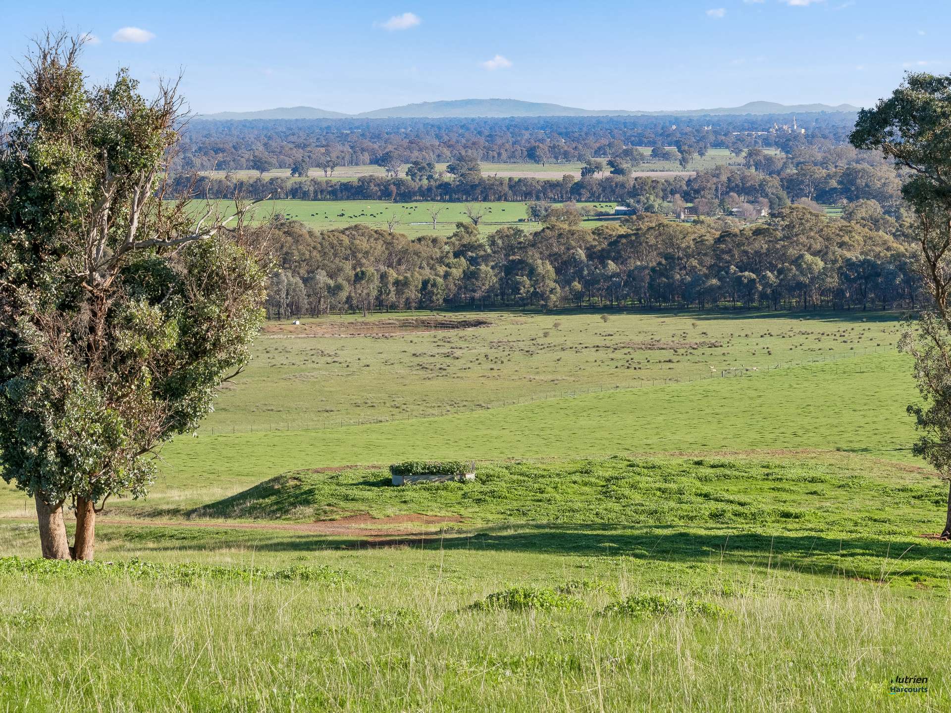 CA 9 Winton-Lurg Rd, Lurg For Sale by Farmbuy.com - image 17