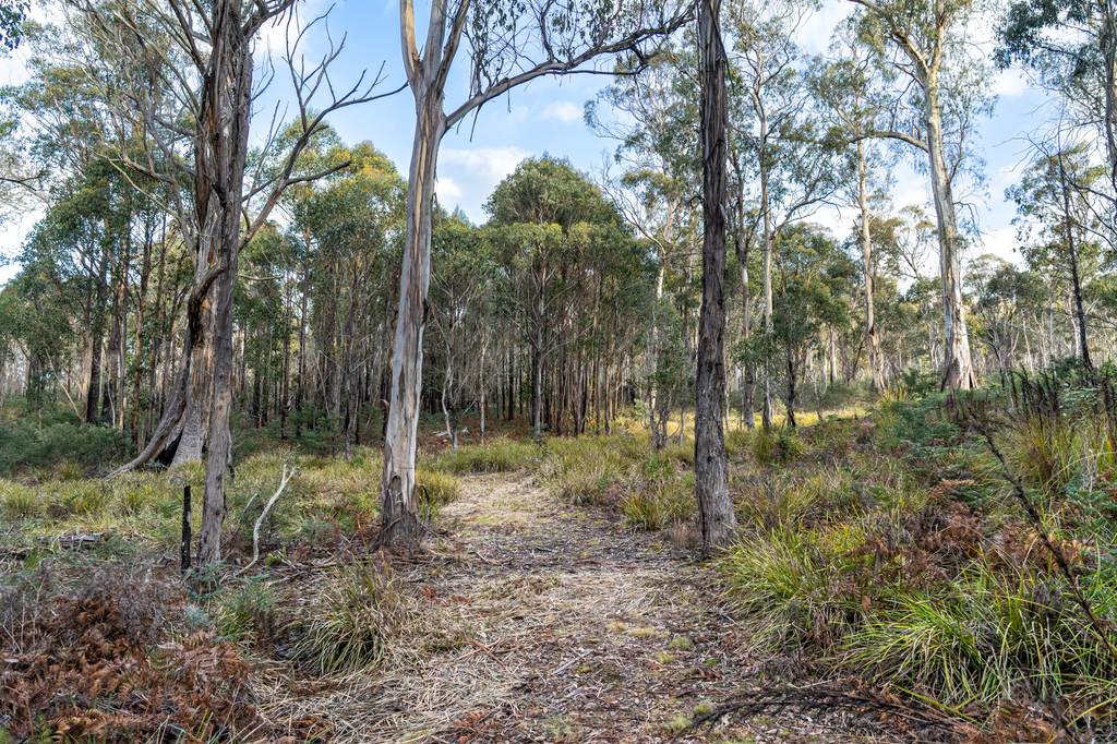 1167 Pelham Road, Hamilton TAS 7140