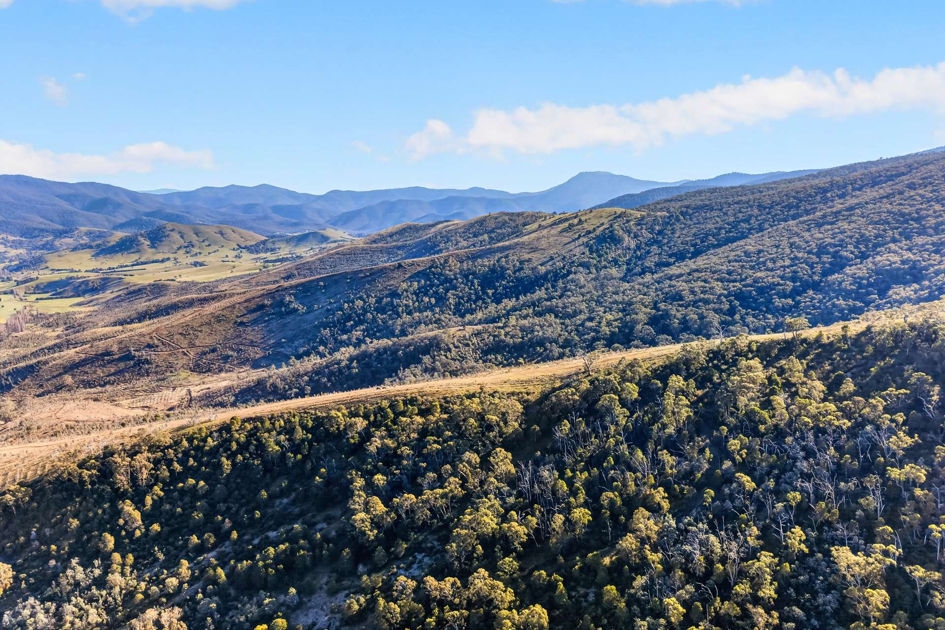 20 Nunniong Plains Track, Bindi For Sale by Farmbuy.com - image 17