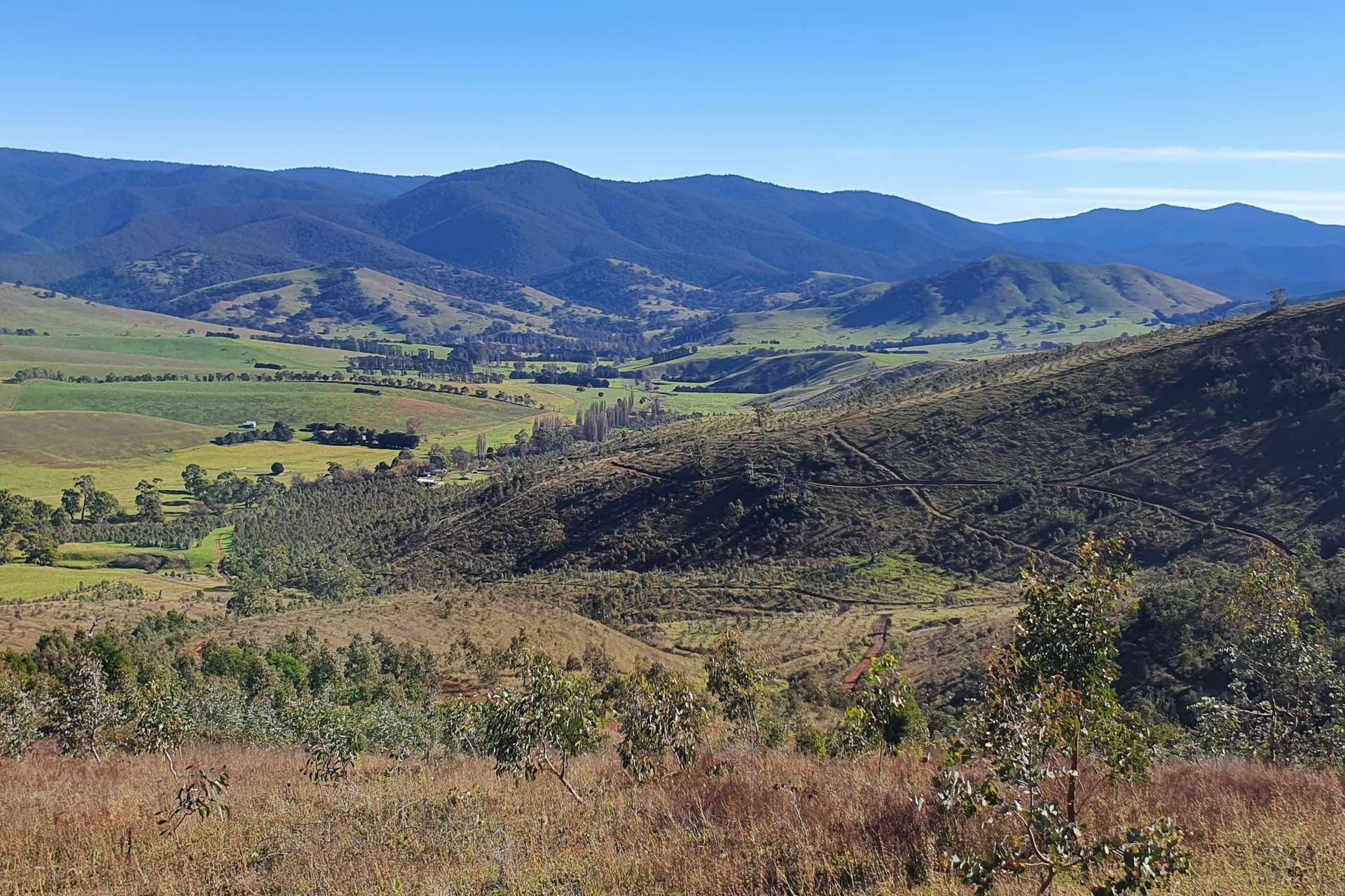 20 Nunniong Plains Track, Bindi For Sale by Farmbuy.com - image 16