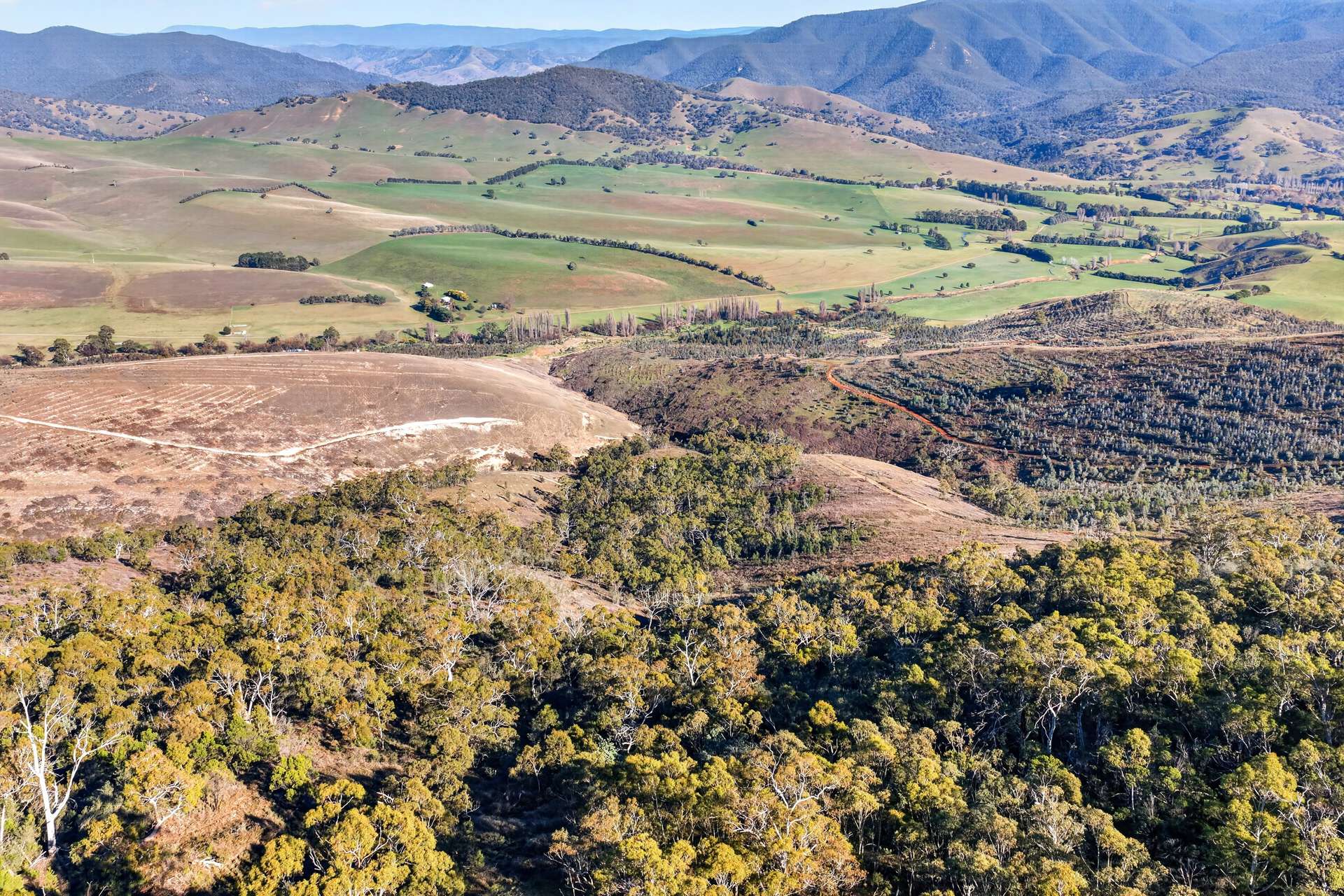 20 Nunniong Plains Track, Bindi For Sale by Farmbuy.com - image 18