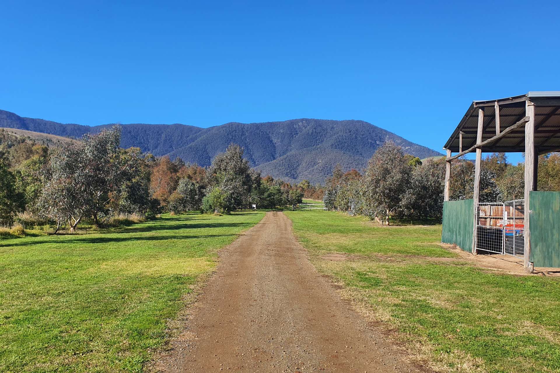 20 Nunniong Plains Track, Bindi For Sale by Farmbuy.com - image 13