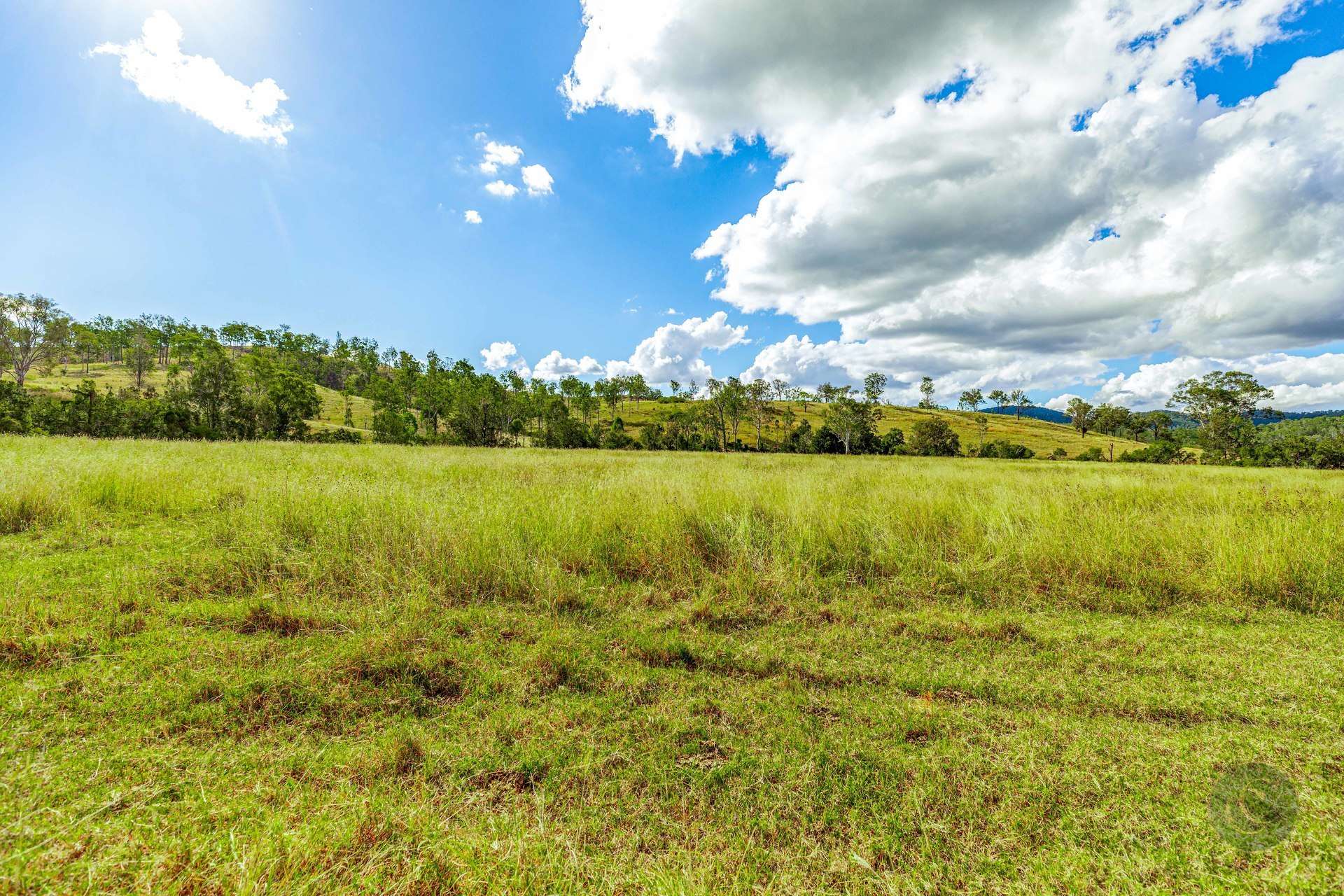 3947 Bauple Woolooga Road, Woolooga For Sale by Farmbuy.com - image 31