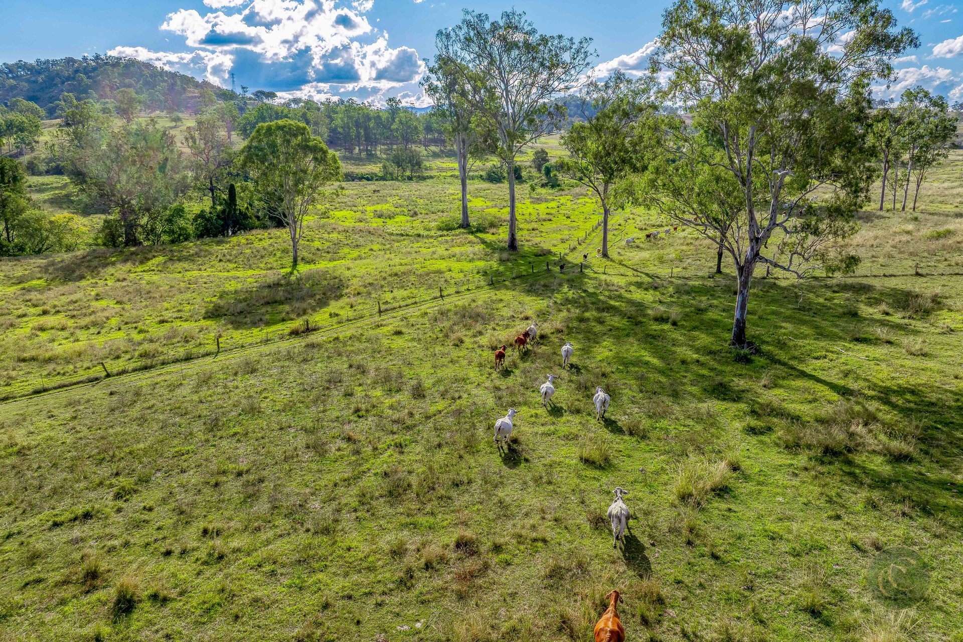 36 Dray Road, Woolooga For Sale by Farmbuy.com - image 26