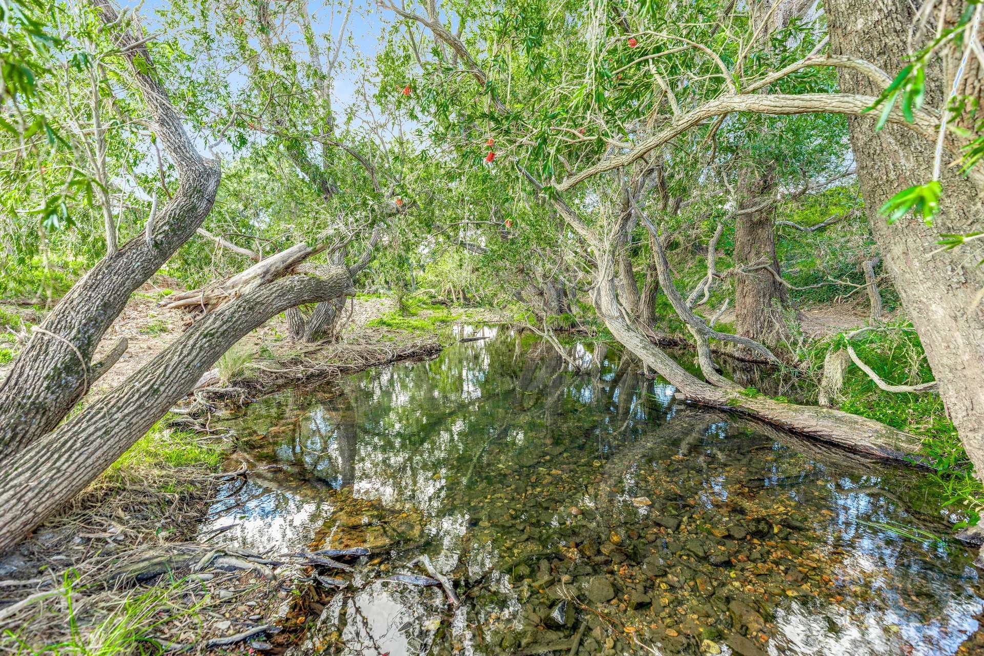 36 Dray Road, Woolooga For Sale by Farmbuy.com - image 35