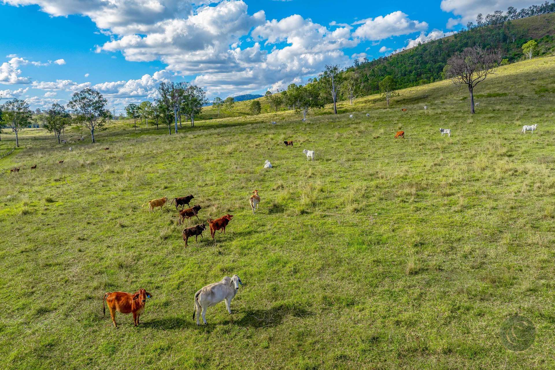 36 Dray Road, Woolooga For Sale by Farmbuy.com - image 27