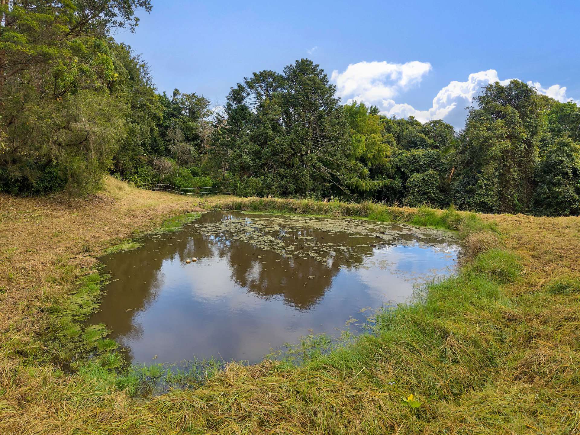 119 Bridge Creek Road, Maleny For Sale by Farmbuy.com - image 22