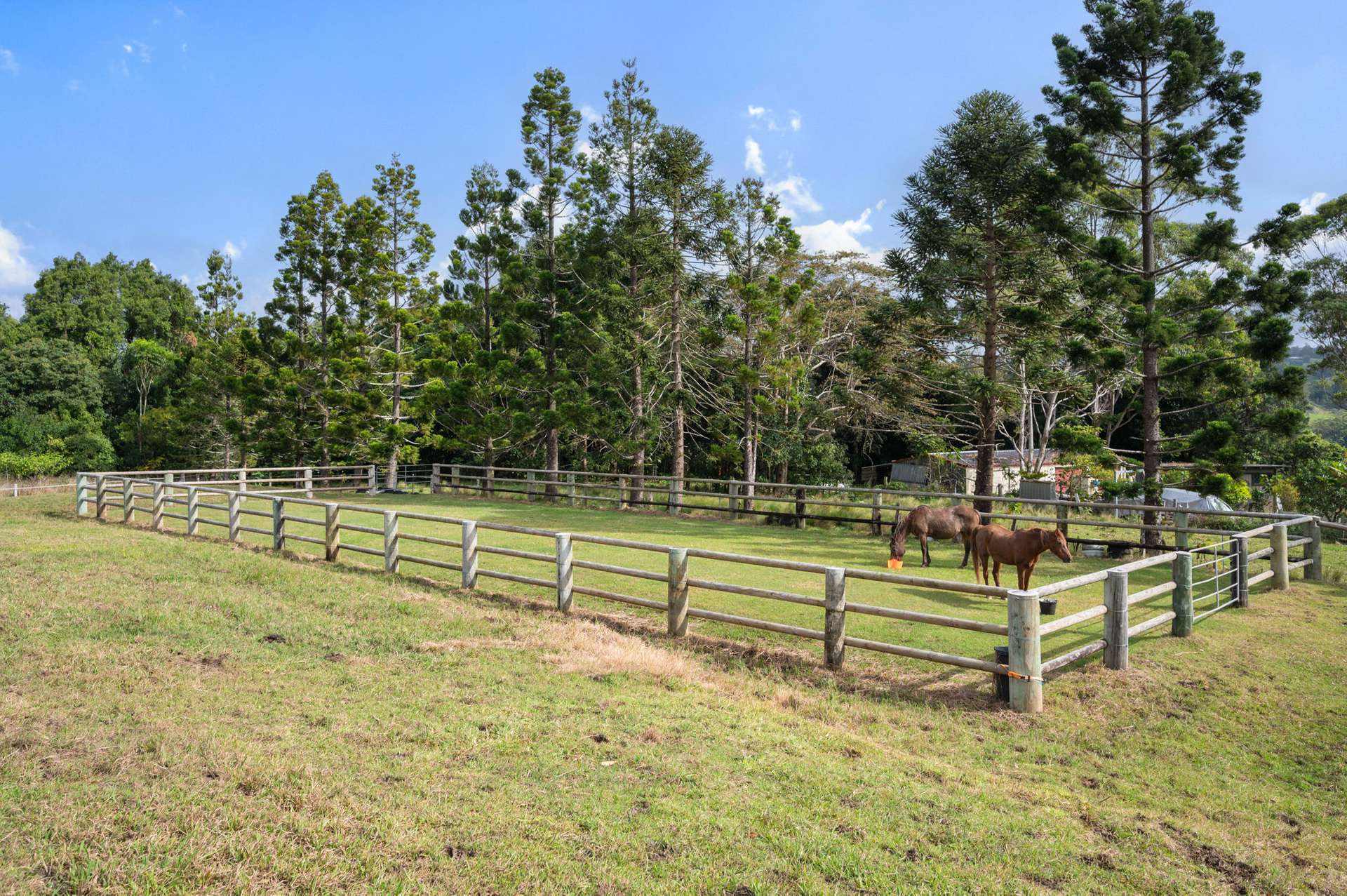 119 Bridge Creek Road, Maleny For Sale by Farmbuy.com - image 4