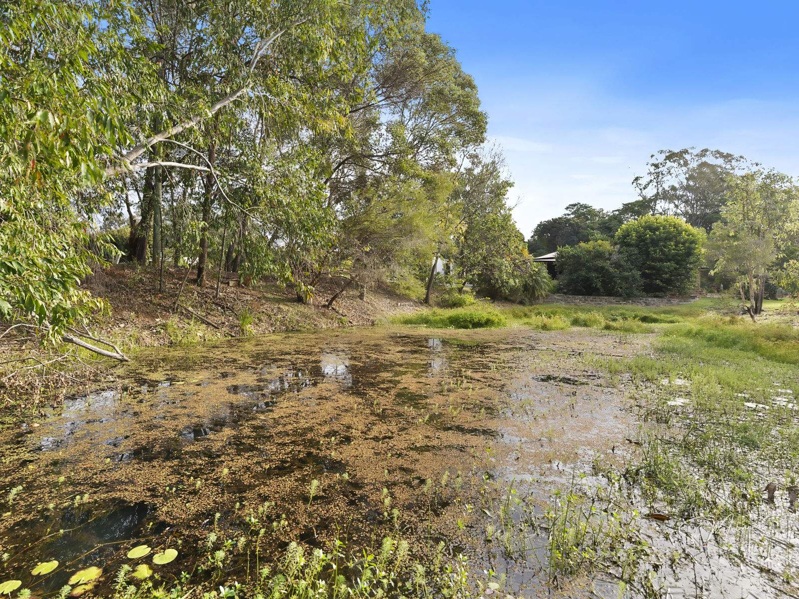 30-32 Koppen Drive, Wamuran For Sale by Farmbuy.com - image 30