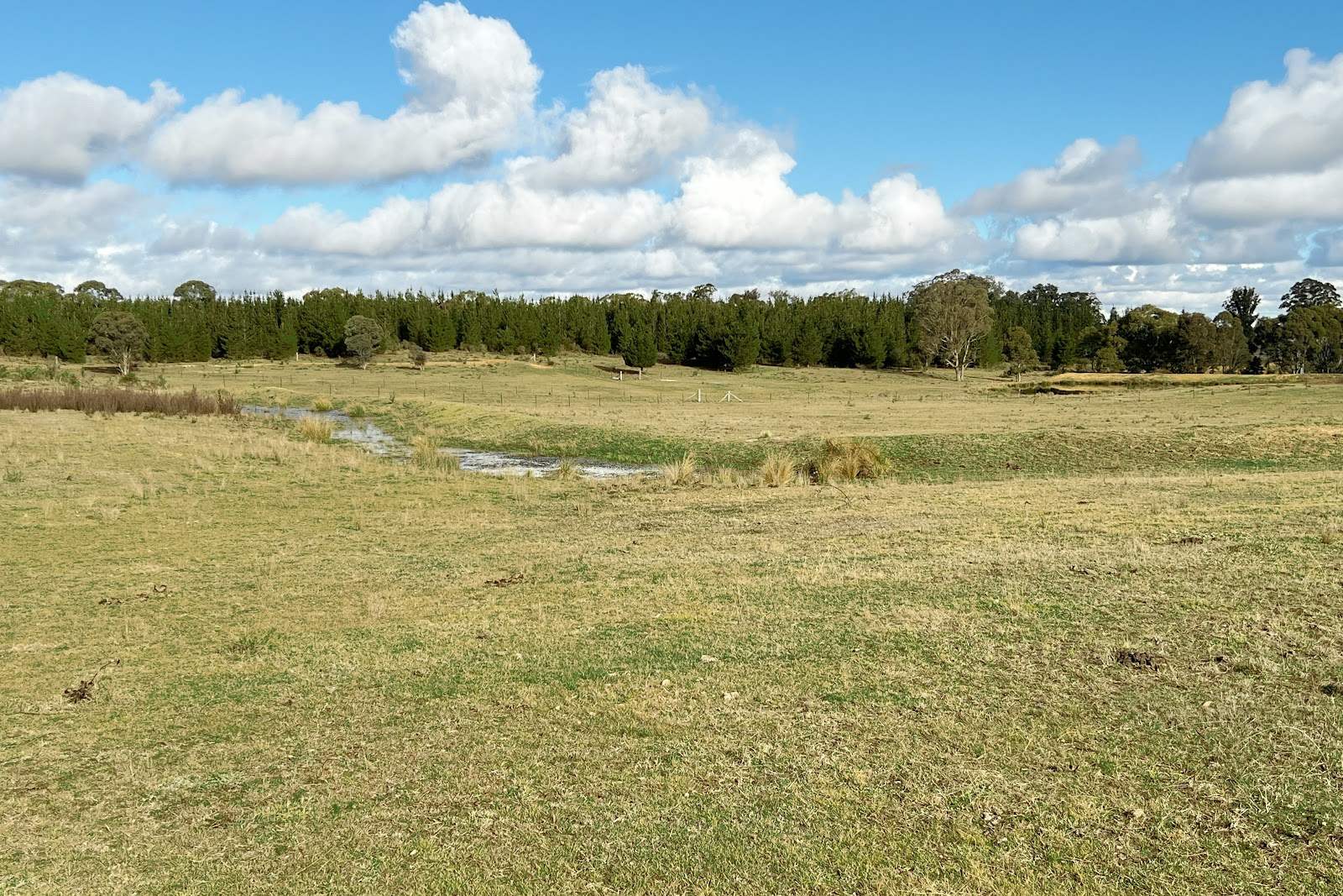3814 Oallen Ford Road, Windellama For Sale by Farmbuy.com - image 5