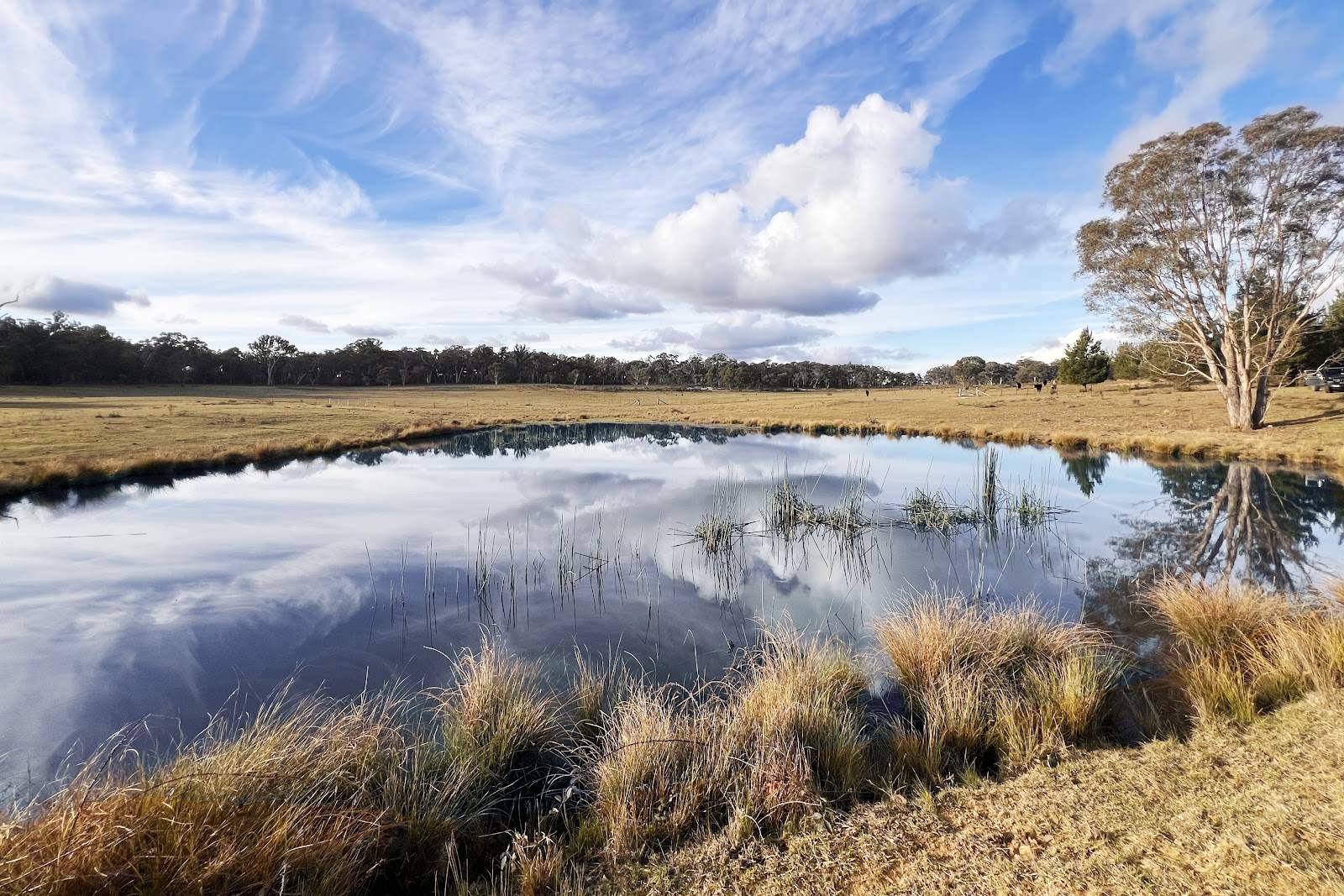 3814 Oallen Ford Road, Windellama For Sale by Farmbuy.com - image 14