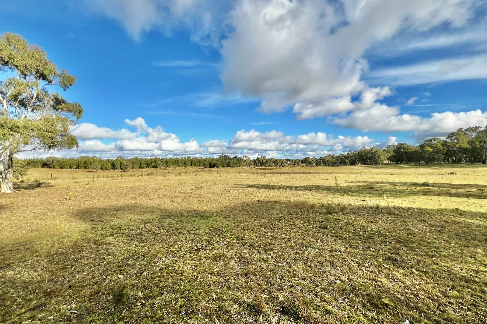 3814 Oallen Ford Road, Windellama For Sale by Farmbuy.com - image 10