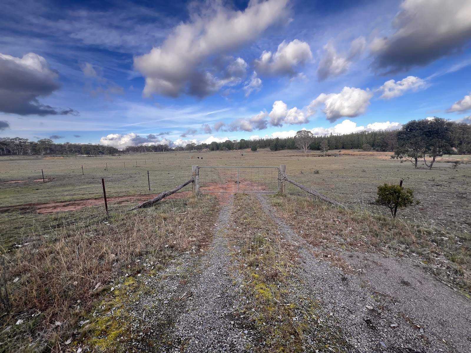 3814 Oallen Ford Road, Windellama For Sale by Farmbuy.com - image 13