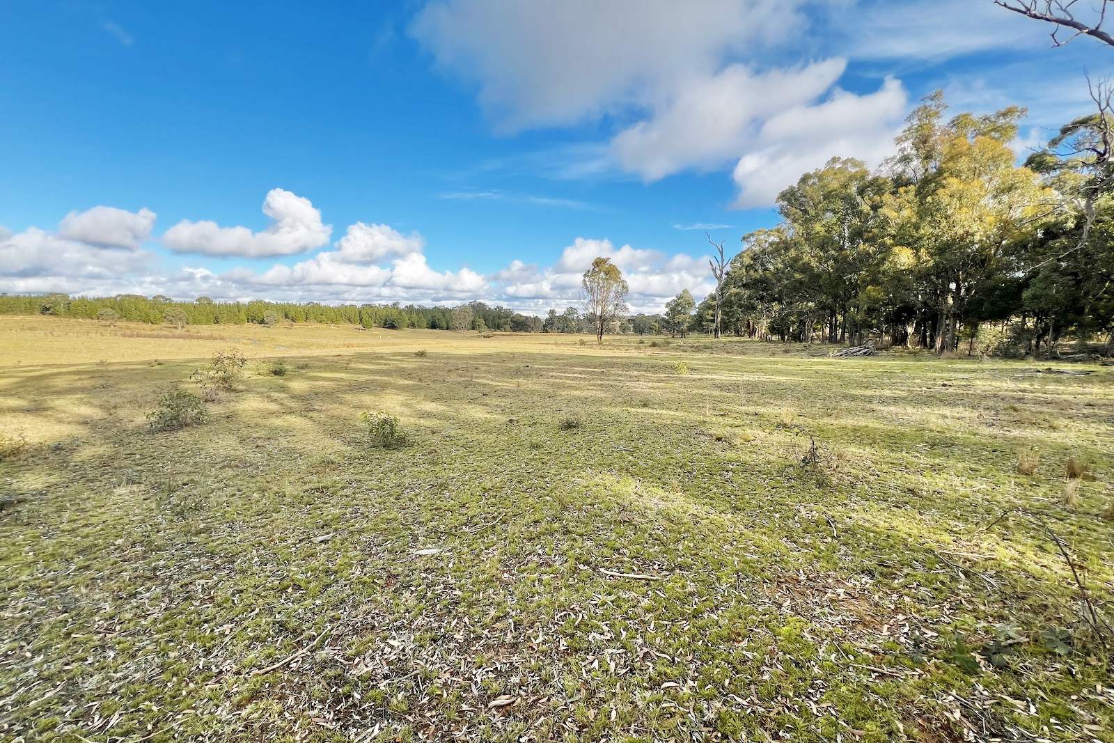 3814 Oallen Ford Road, Windellama For Sale by Farmbuy.com - image 9