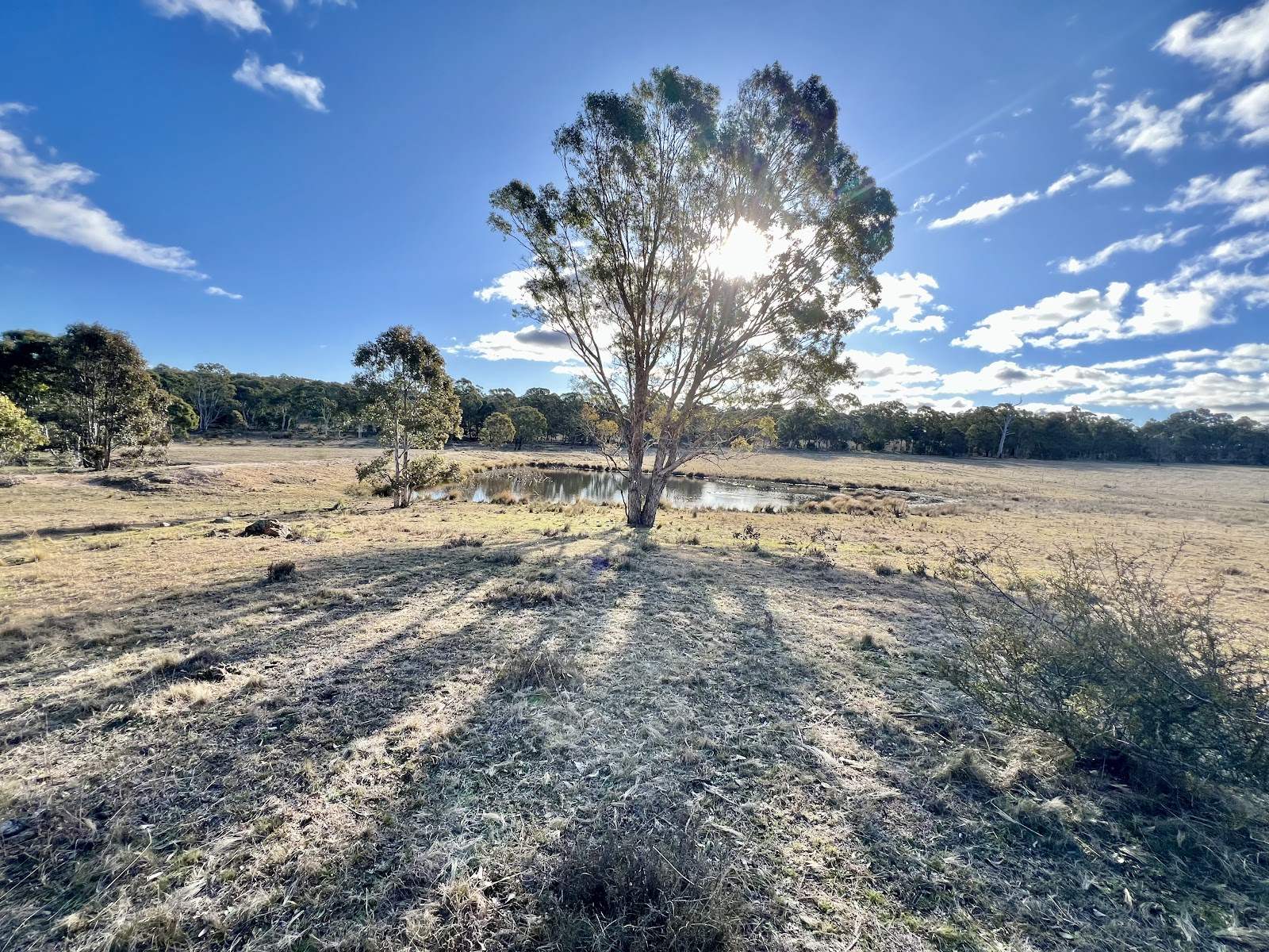 3814 Oallen Ford Road, Windellama For Sale by Farmbuy.com - image 8