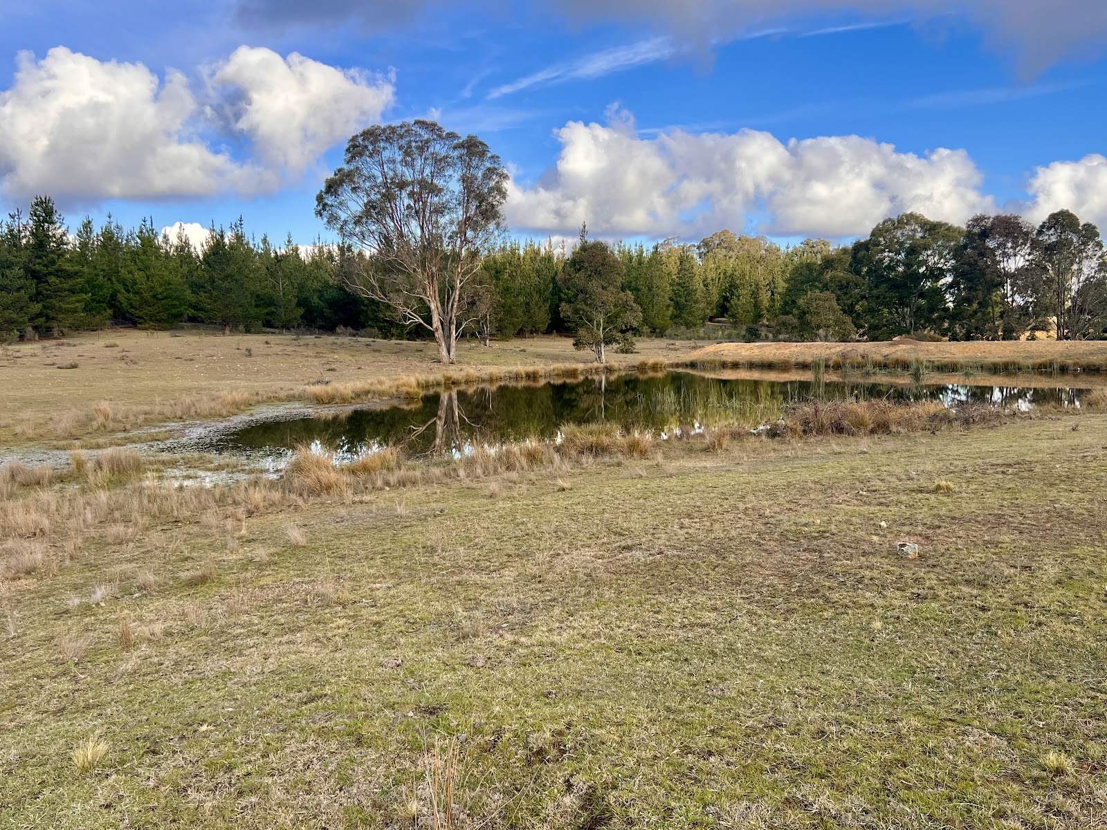 3814 Oallen Ford Road, Windellama For Sale by Farmbuy.com - image 12