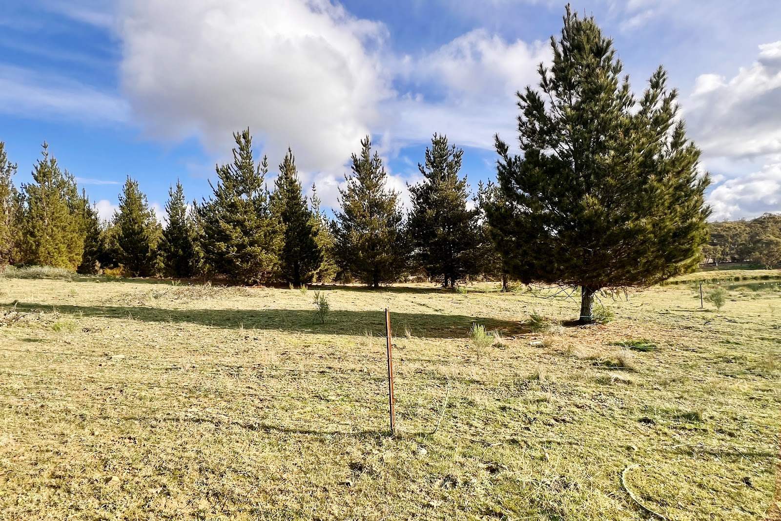 3814 Oallen Ford Road, Windellama For Sale by Farmbuy.com - image 6