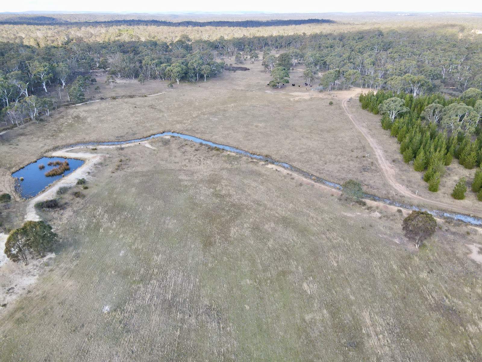 3814 Oallen Ford Road, Windellama For Sale by Farmbuy.com - image 6