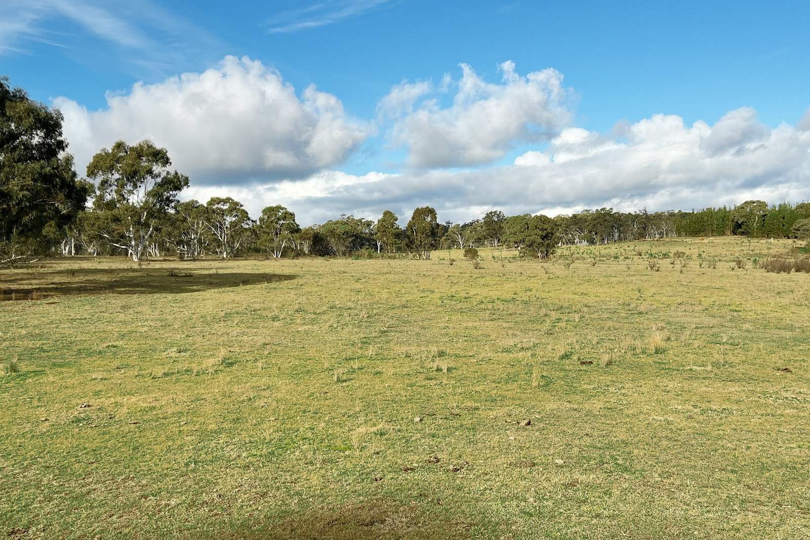 3814 Oallen Ford Road, Windellama For Sale by Farmbuy.com - image 4