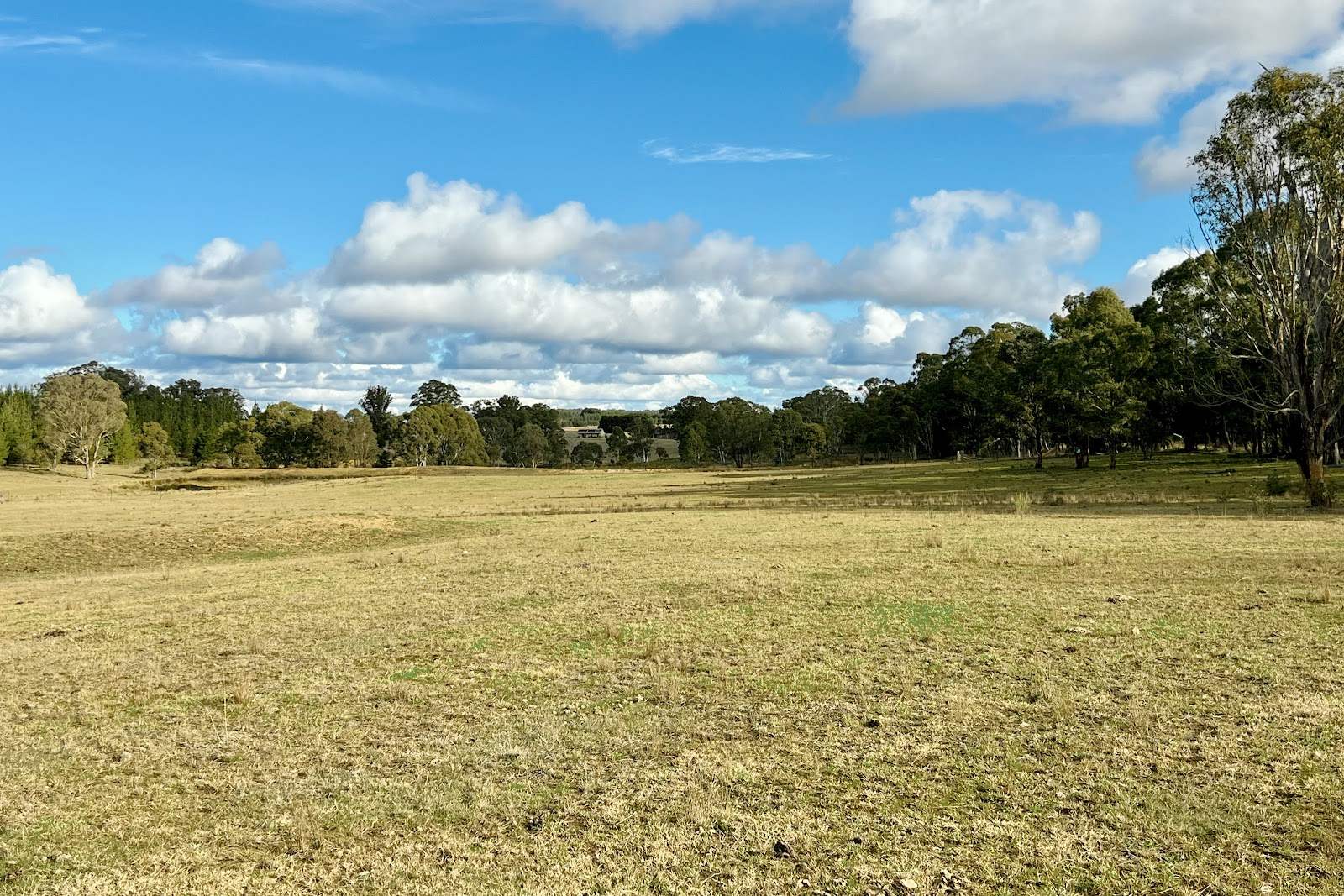 3814 Oallen Ford Road, Windellama For Sale by Farmbuy.com - image 7