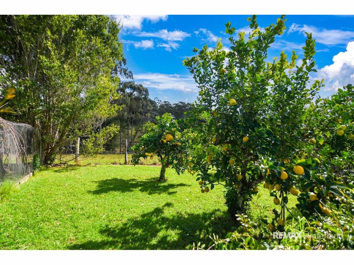 310 Corks Pocket Road, Reesville For Sale by Farmbuy.com - image 29