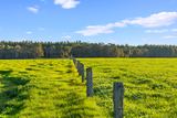 58 Sunshine (via Margaret River - Augusta Region) Avenue, Courtenay For Sale by Bellcourt Property Group
