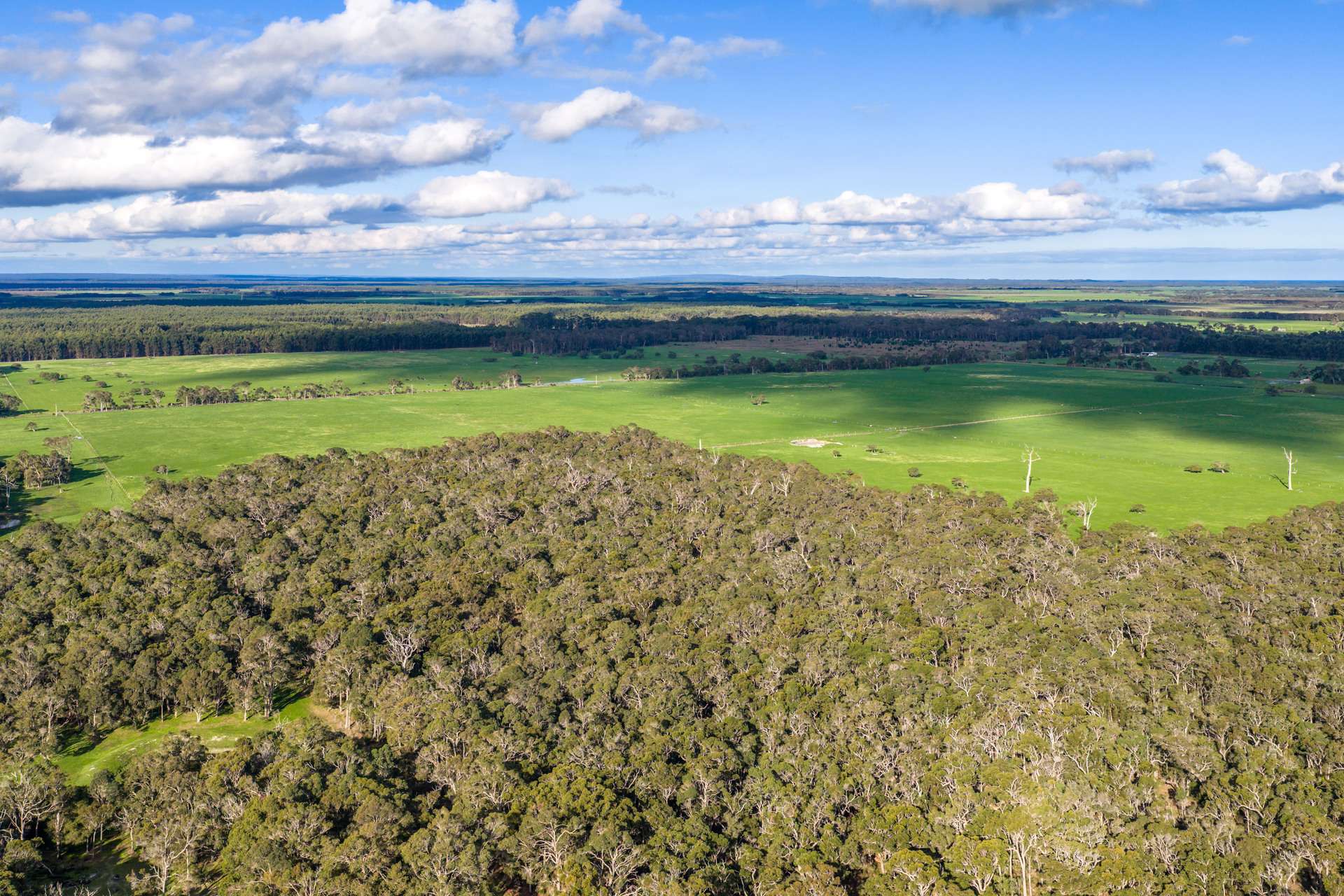 58 Sunshine (via Margaret River - Augusta Region) Avenue, Courtenay For Sale by Farmbuy.com - image 6