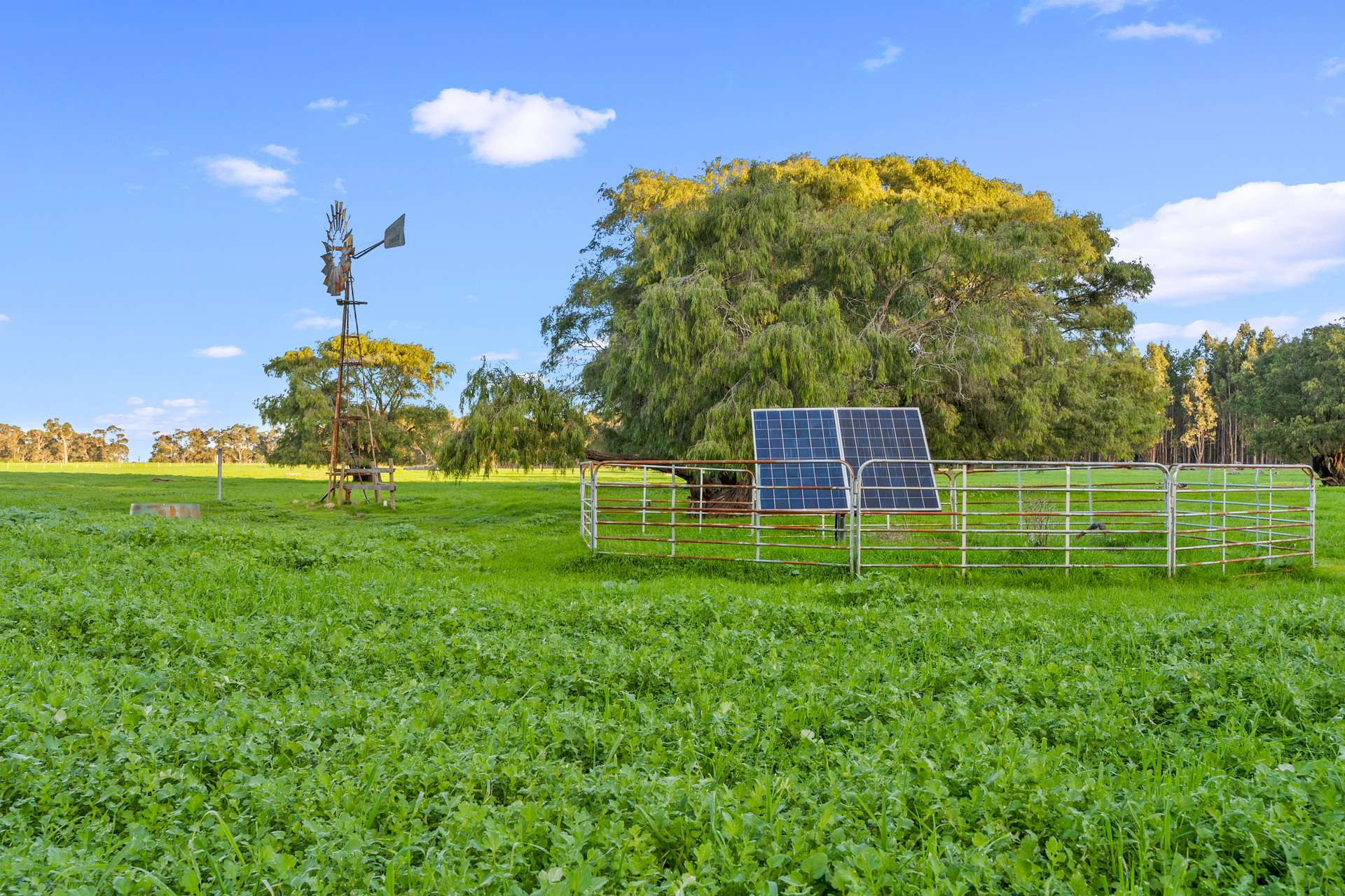 58 Sunshine (via Margaret River - Augusta Region) Avenue, Courtenay For Sale by Farmbuy.com - image 8