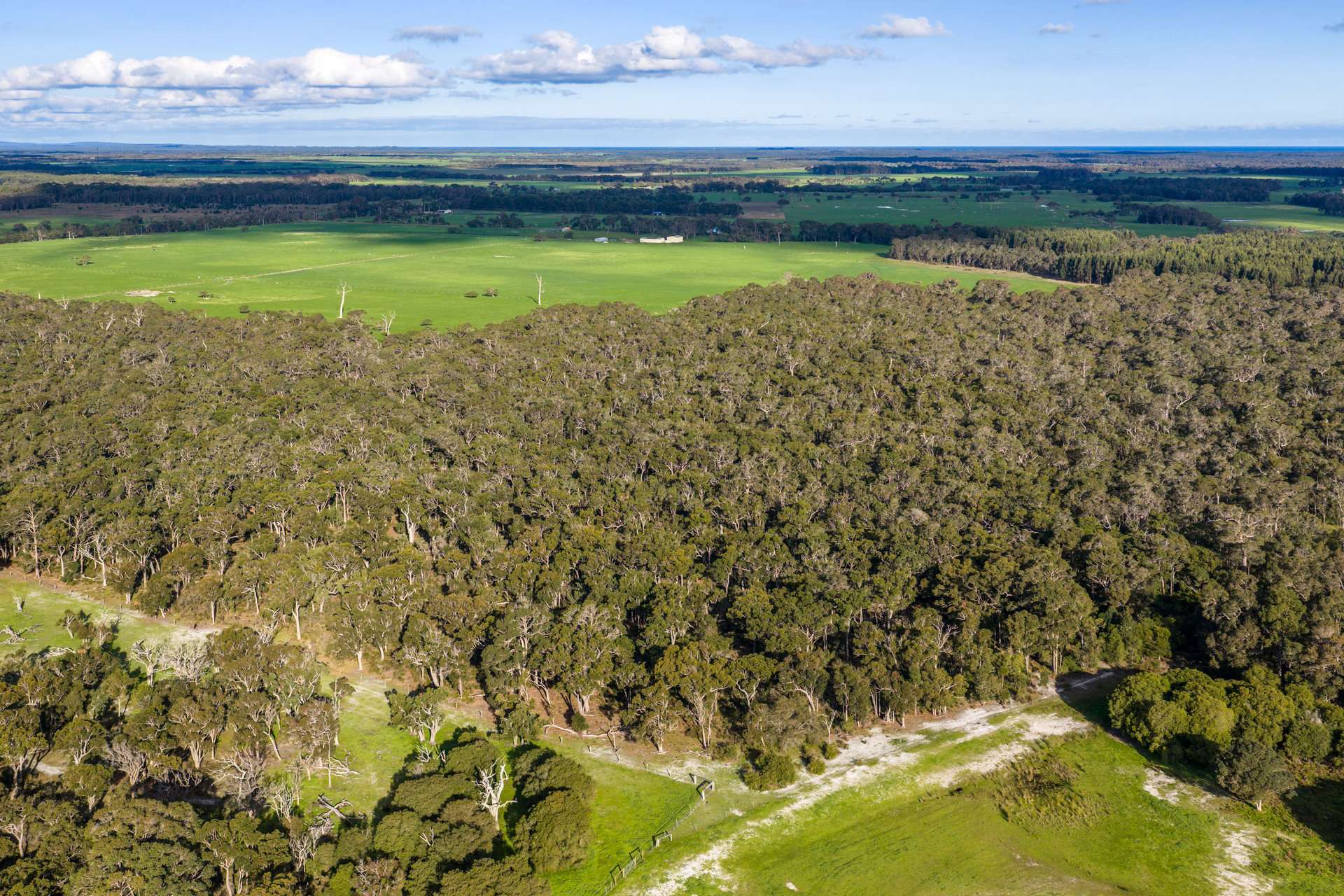 58 Sunshine (via Margaret River - Augusta Region) Avenue, Courtenay For Sale by Farmbuy.com - image 5