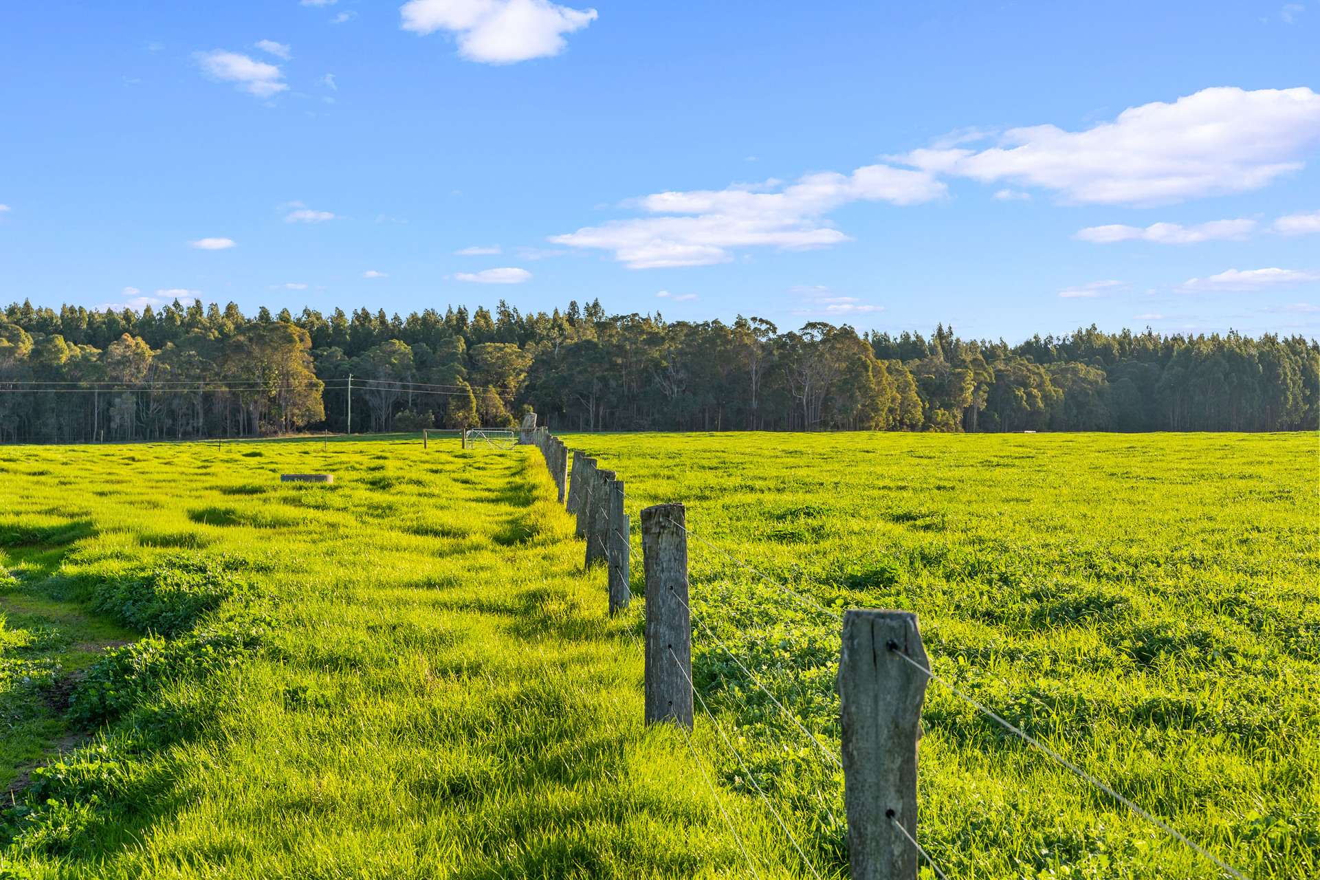 58 Sunshine (via Margaret River - Augusta Region) Avenue, Courtenay For Sale by Farmbuy.com - image 1