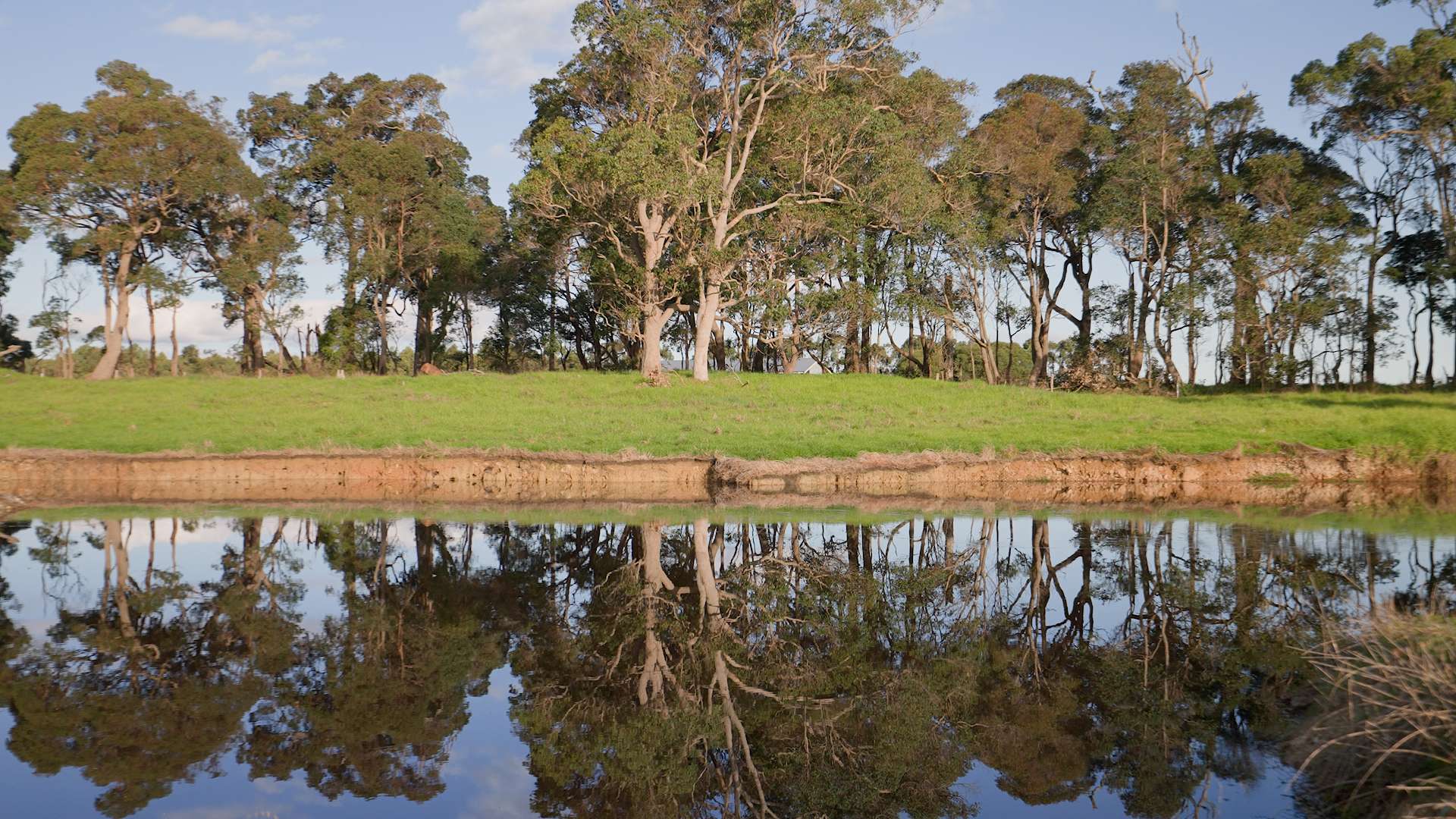 58 Sunshine (via Margaret River - Augusta Region) Avenue, Courtenay For Sale by Farmbuy.com - image 2