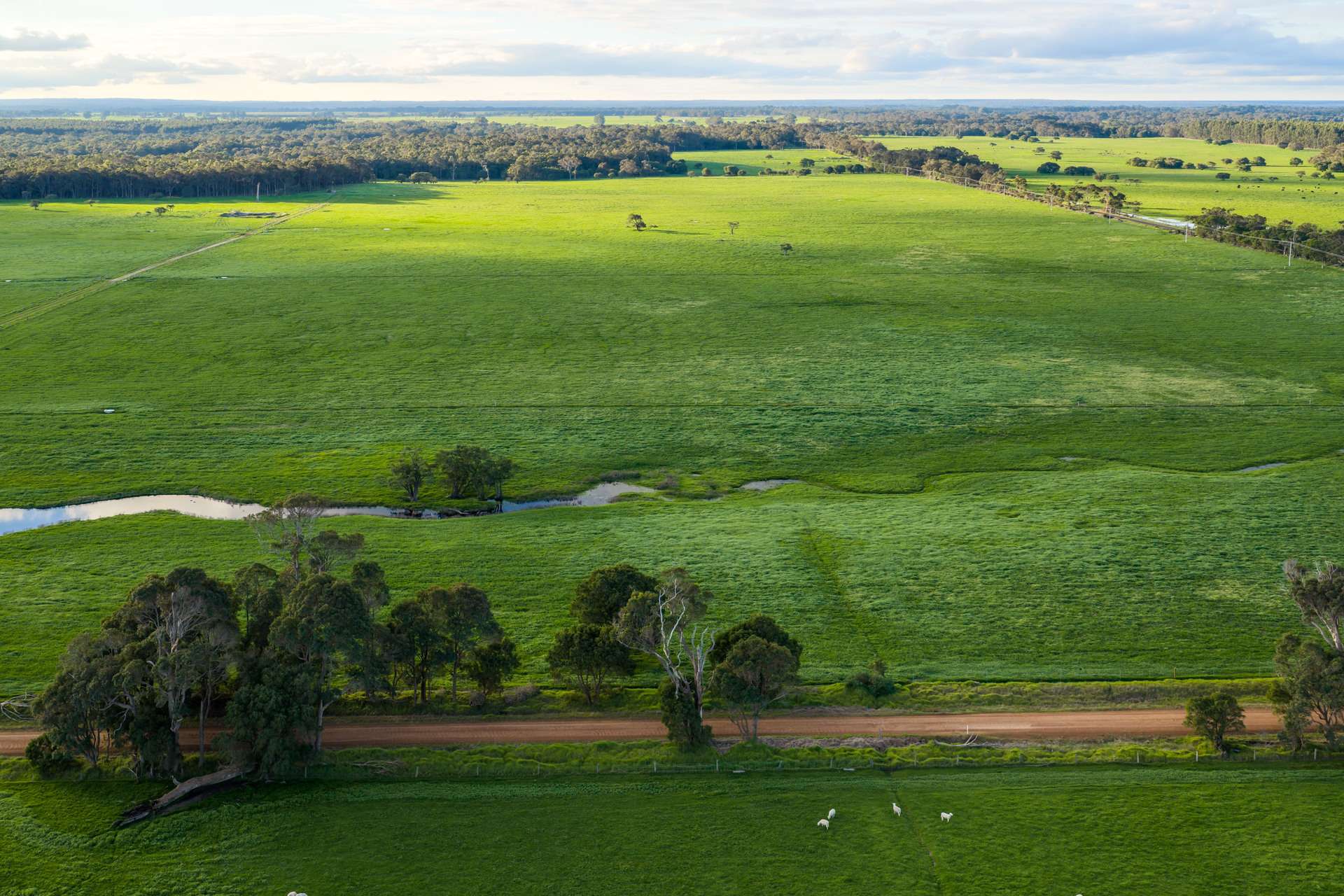 58 Sunshine (via Margaret River - Augusta Region) Avenue, Courtenay For Sale by Farmbuy.com - image 2