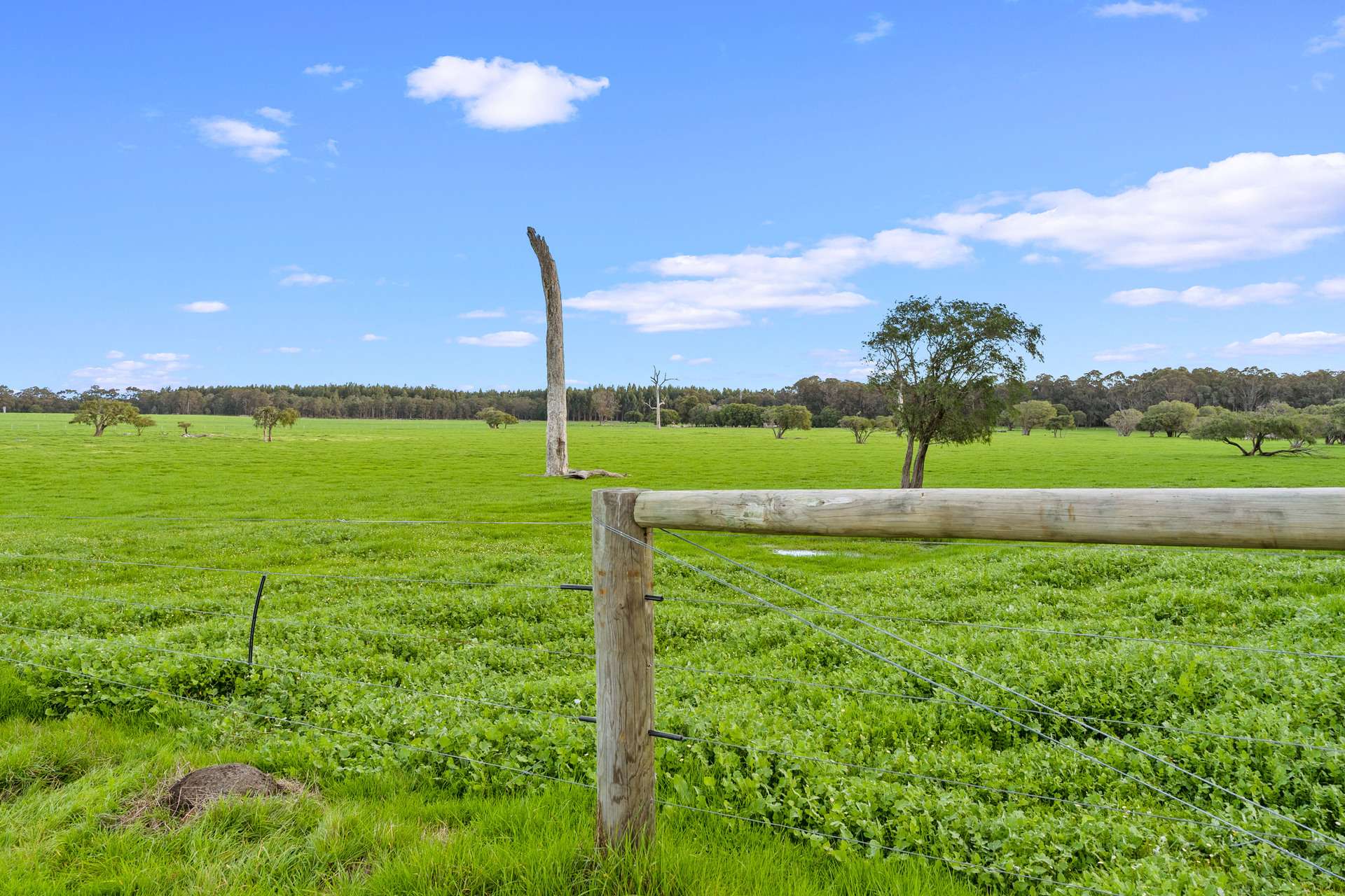 58 Sunshine (via Margaret River - Augusta Region) Avenue, Courtenay For Sale by Farmbuy.com - image 10