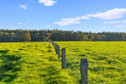 Farm For Sale - WA - Courtenay - 6288 - Native Timber, Productive Grazing & Water 