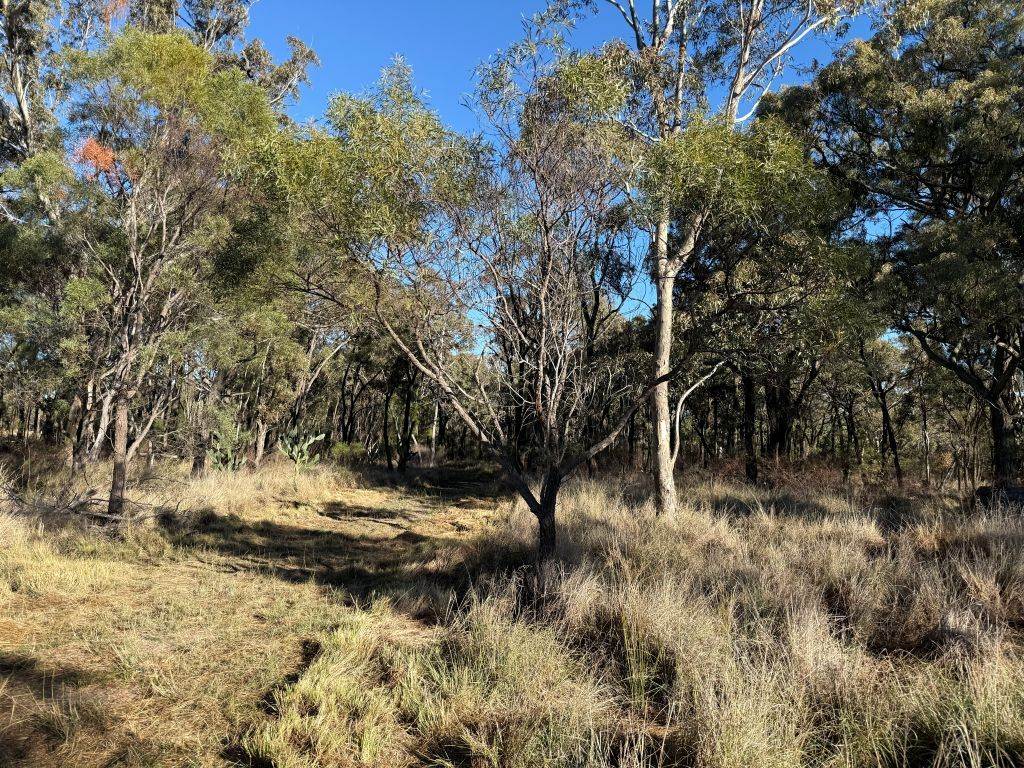 593 Goldfields Road, Stanthorpe For Sale by Farmbuy.com - image 6