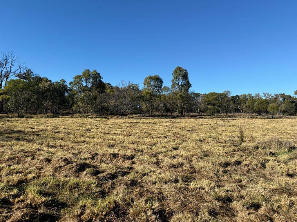 593 Goldfields Road, Stanthorpe For Sale by Farmbuy.com - image 2