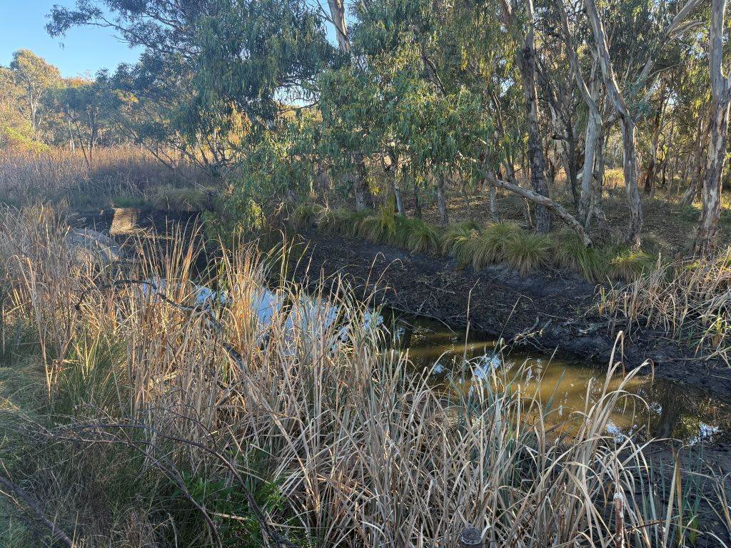 593 Goldfields Road, Stanthorpe For Sale by Farmbuy.com - image 11
