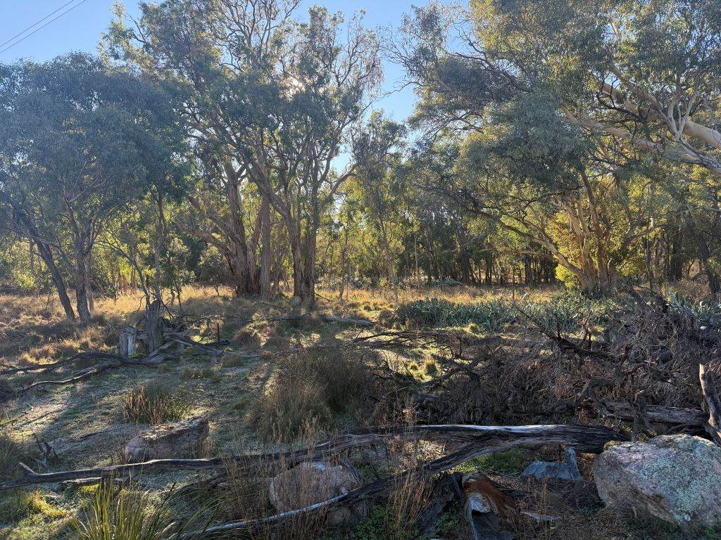 593 Goldfields Road, Stanthorpe For Sale by Farmbuy.com - image 10