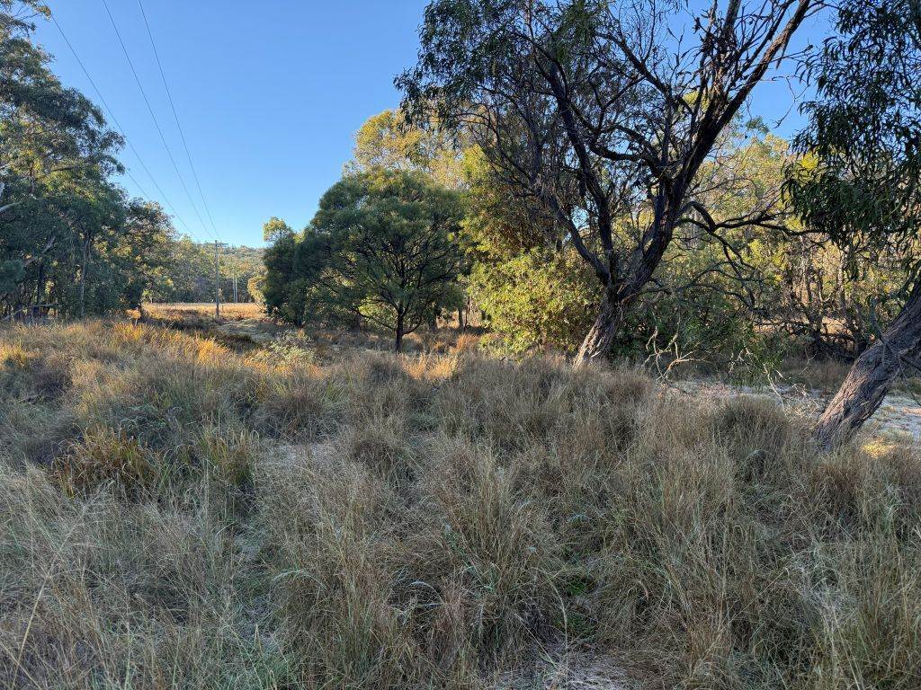 593 Goldfields Road, Stanthorpe For Sale by Farmbuy.com - image 12