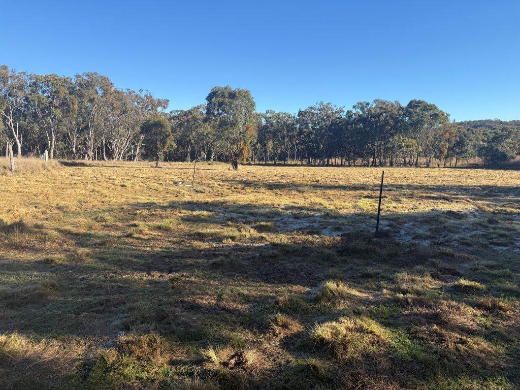 593 Goldfields Road, Stanthorpe For Sale by Farmbuy.com - image 9