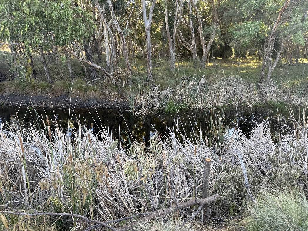 593 Goldfields Road, Stanthorpe For Sale by Farmbuy.com - image 8